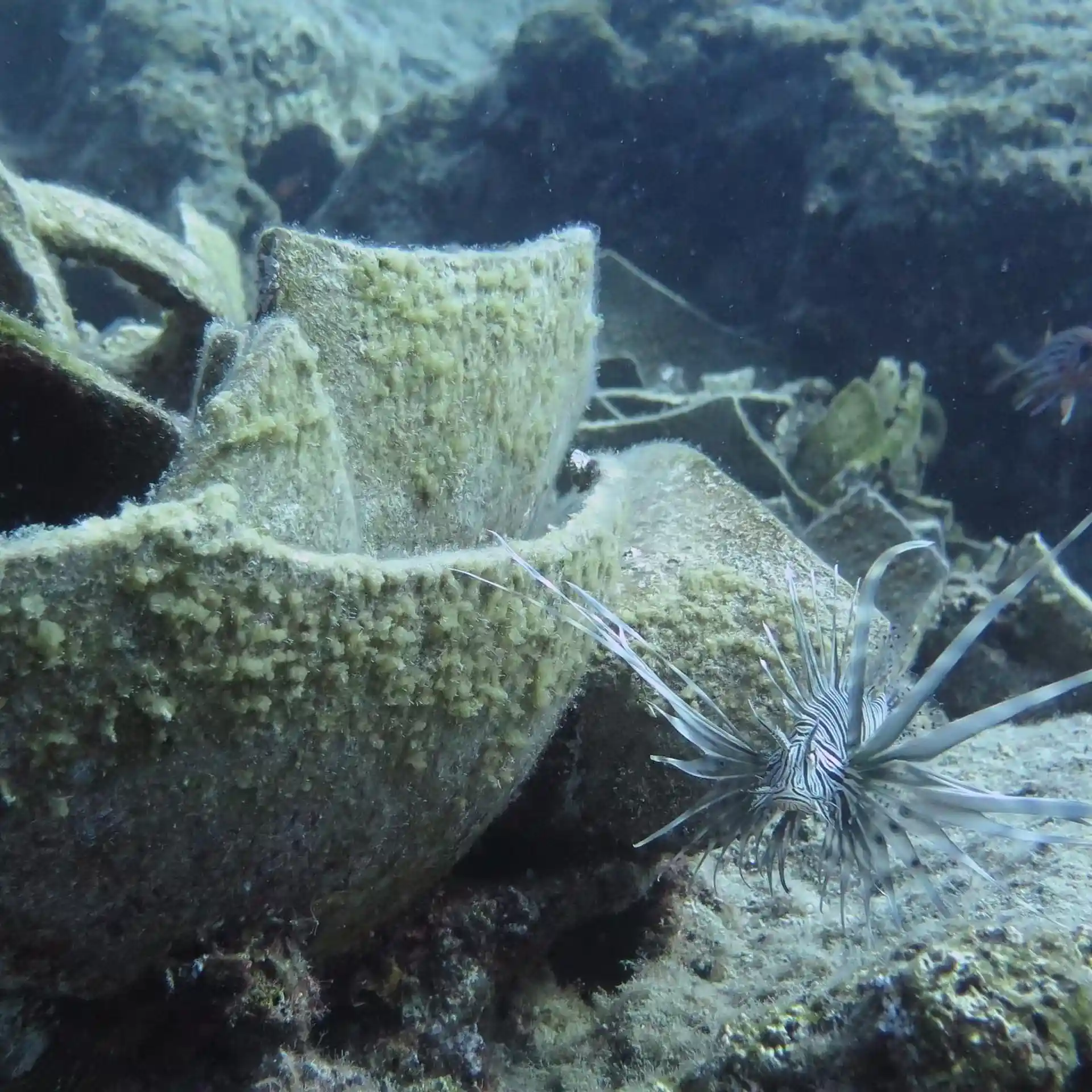 Dive site photo
