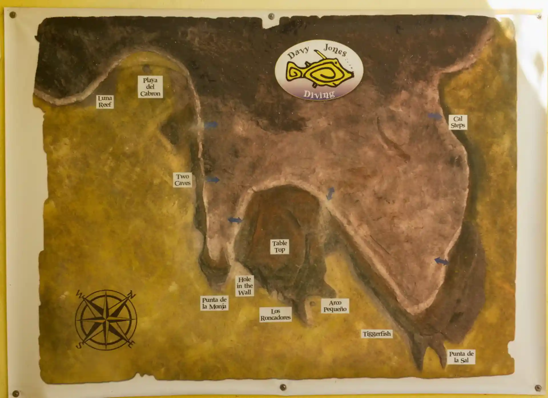 Foto van de duiklocatie