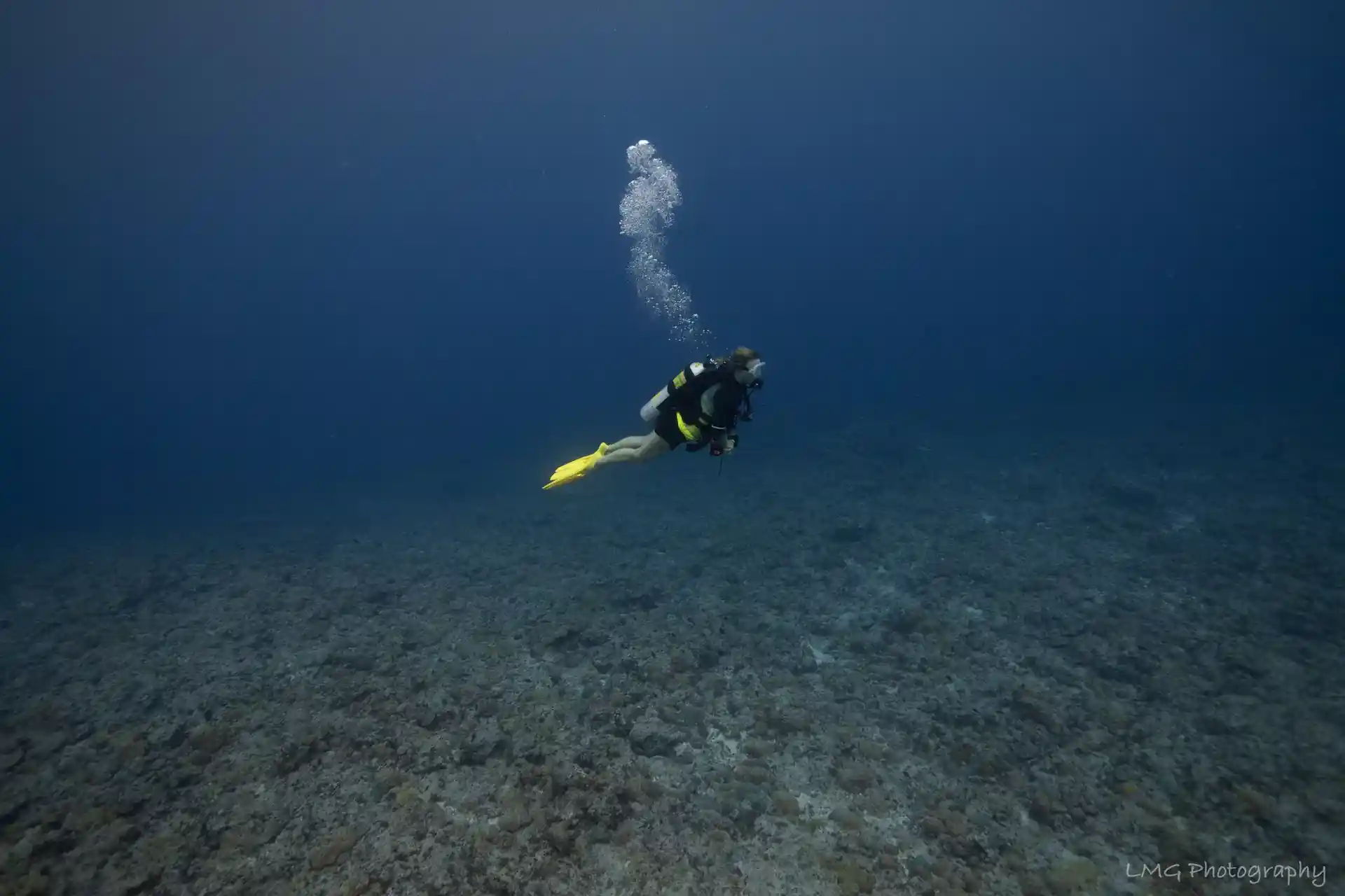 Photo du site de plongée