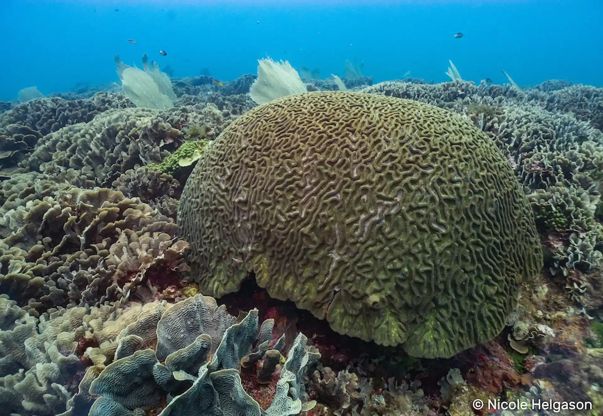 Foto des Tauchplatzes