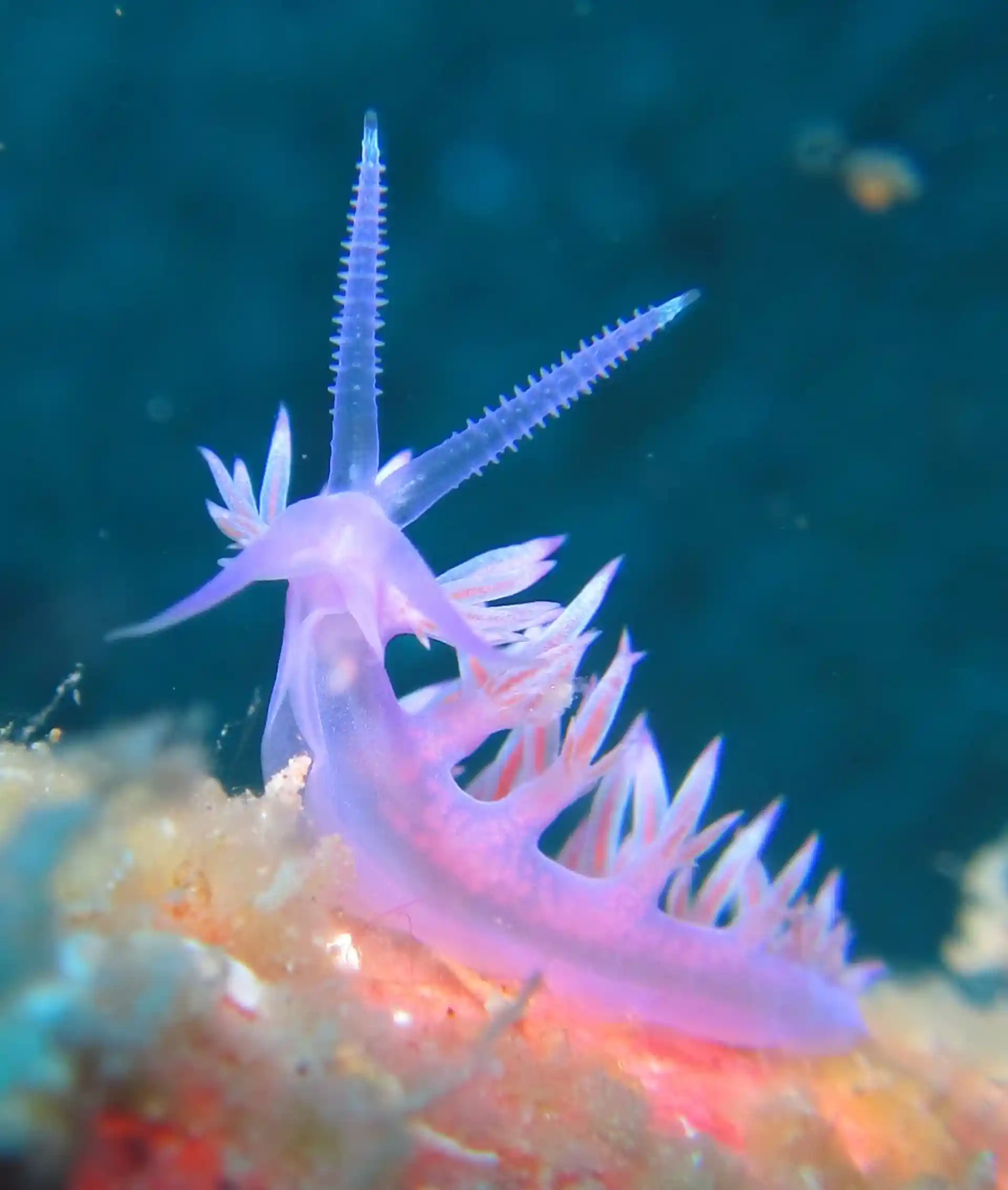 Dive site photo