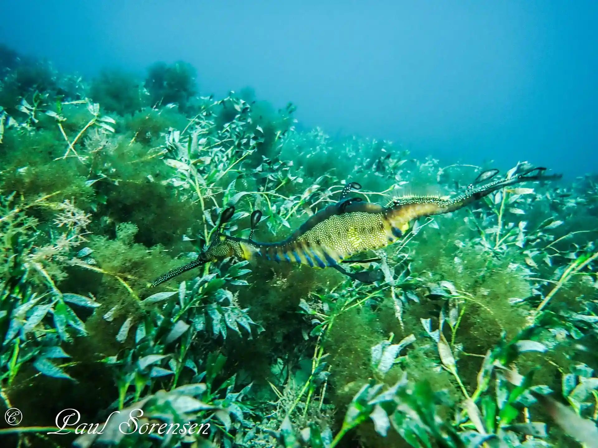 Dive site photo