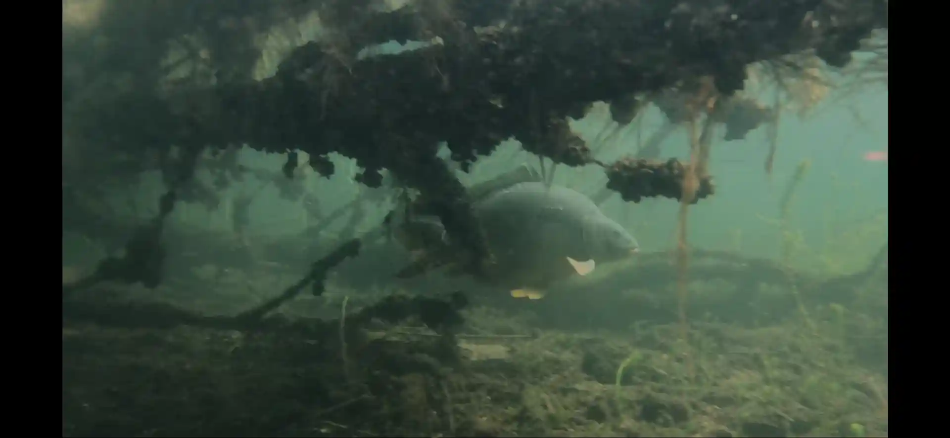 Foto van de duiklocatie