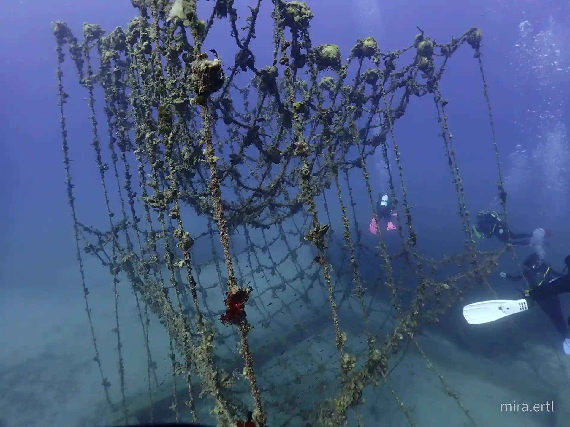 Dive site photo
