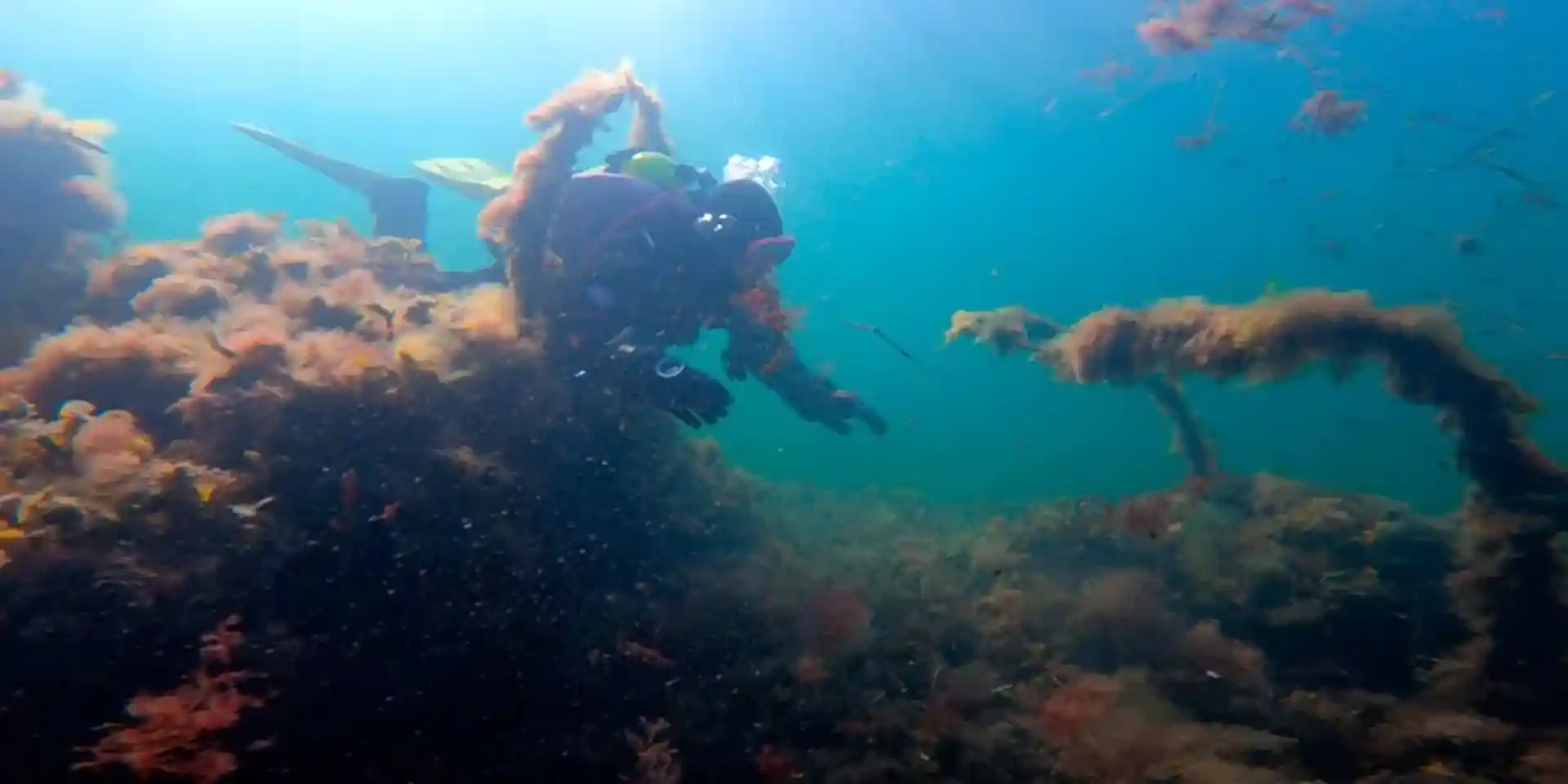 Dive site photo