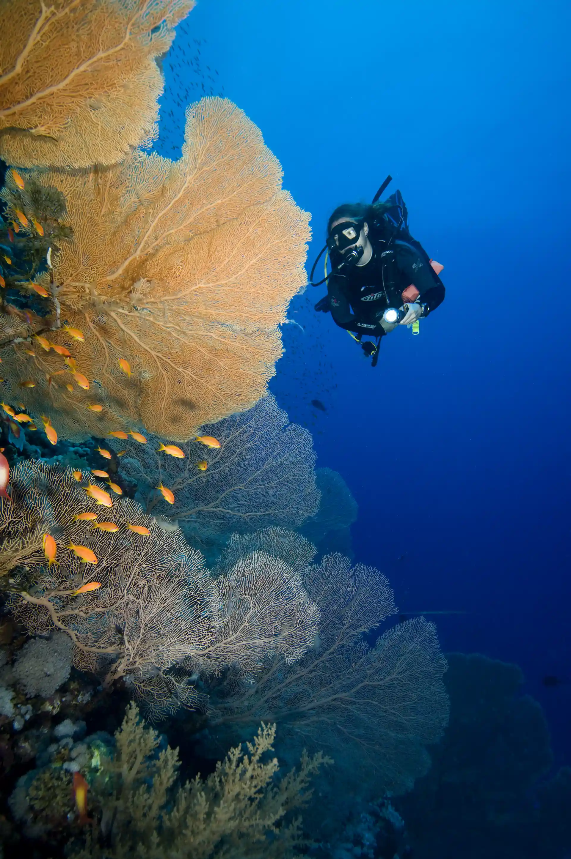 Anchor wreck