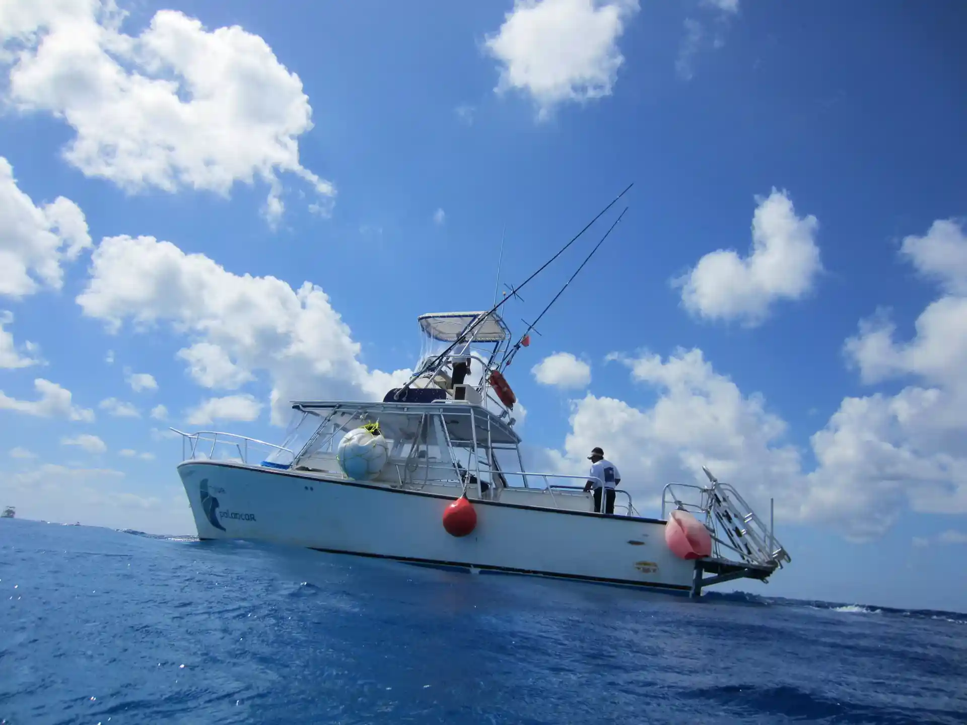 We have our own boats for all our activities, ensuring safety and enjoyable divings everytime!