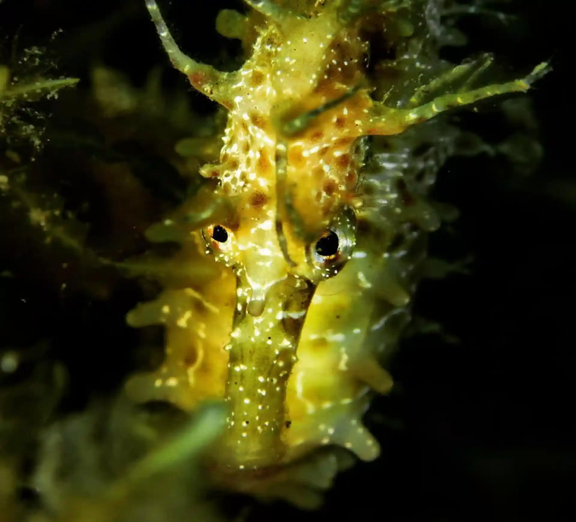 Foto de la actividad