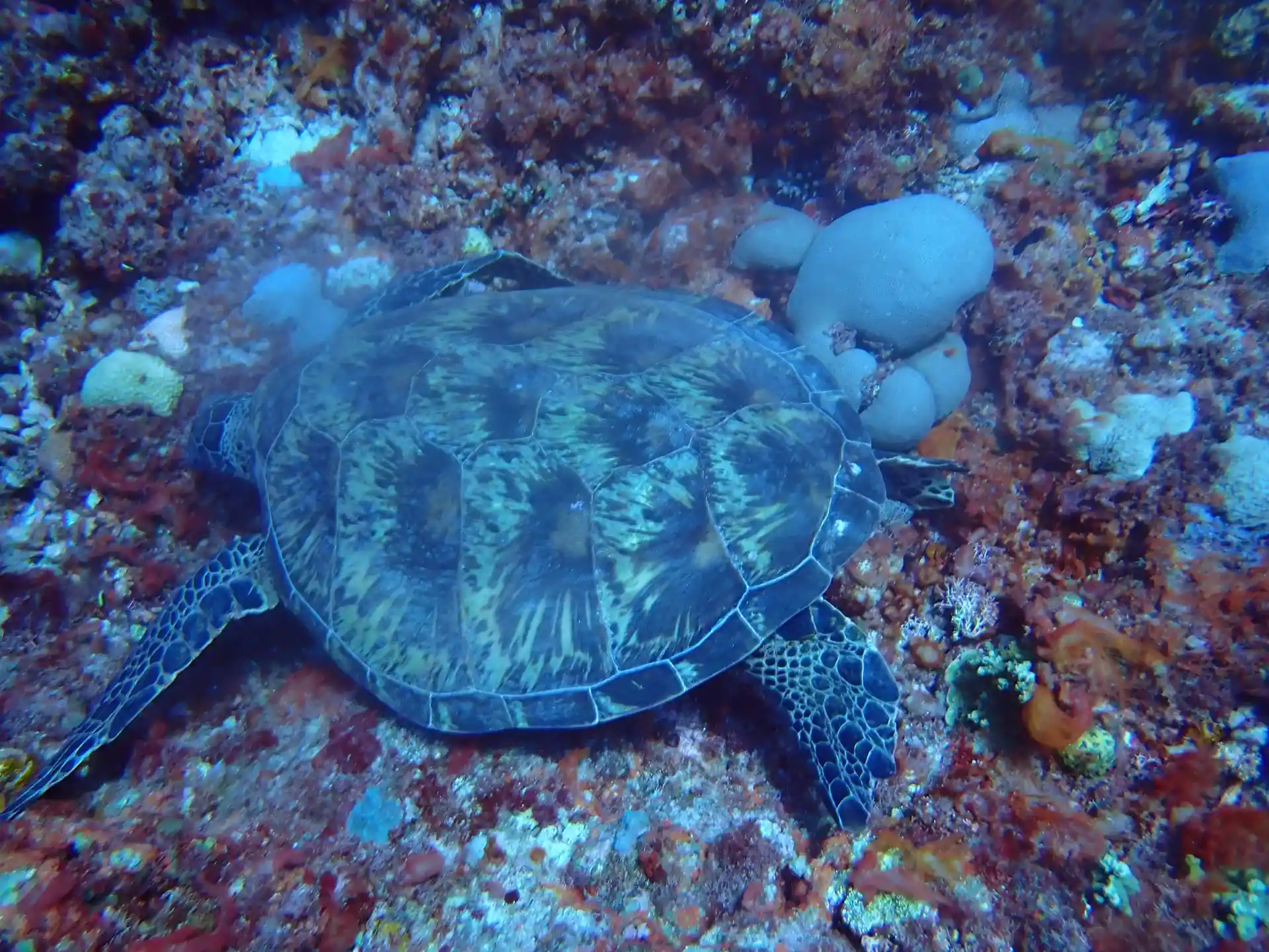 Foto des Tauchplatzes