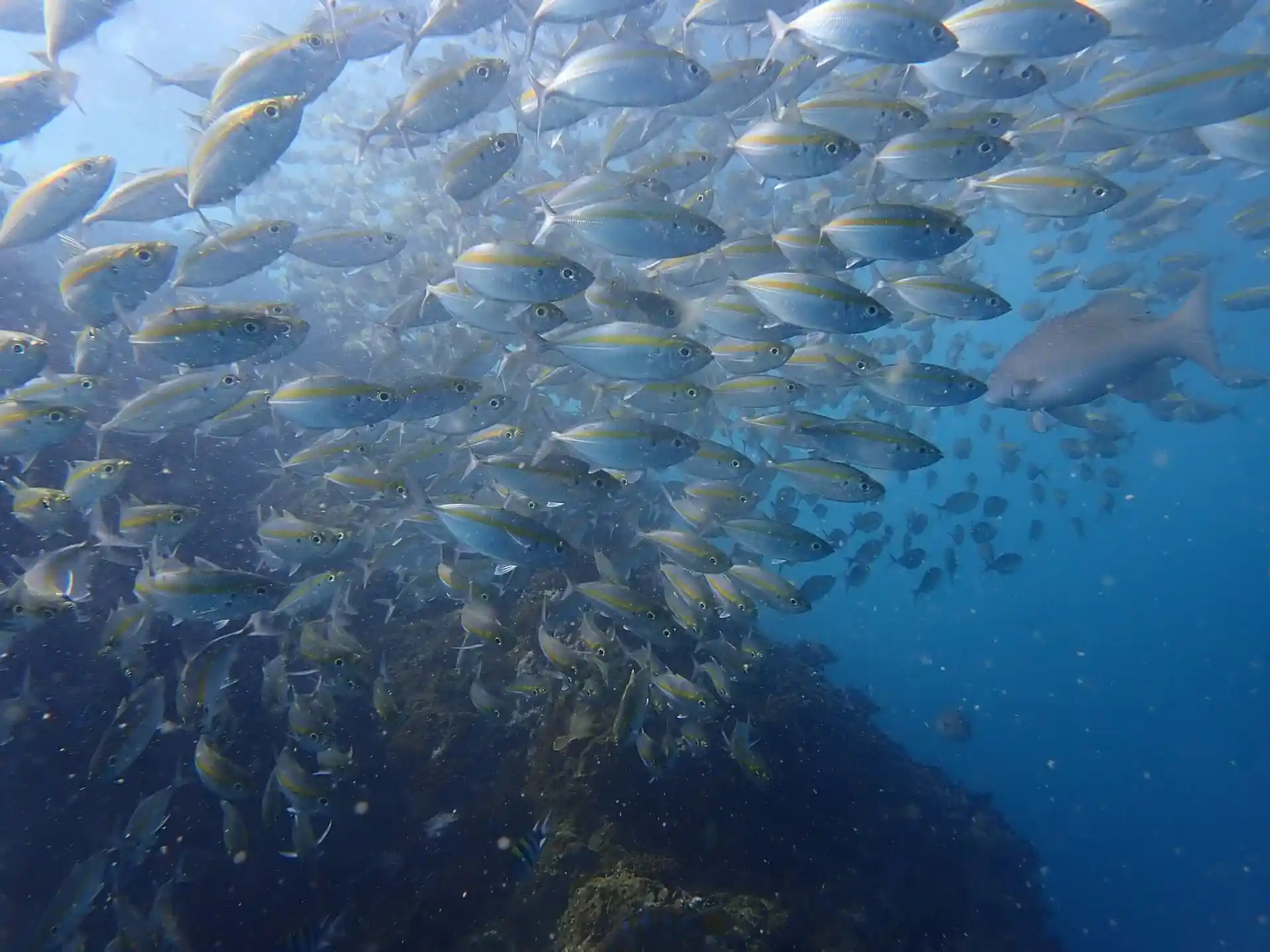 Foto de la actividad
