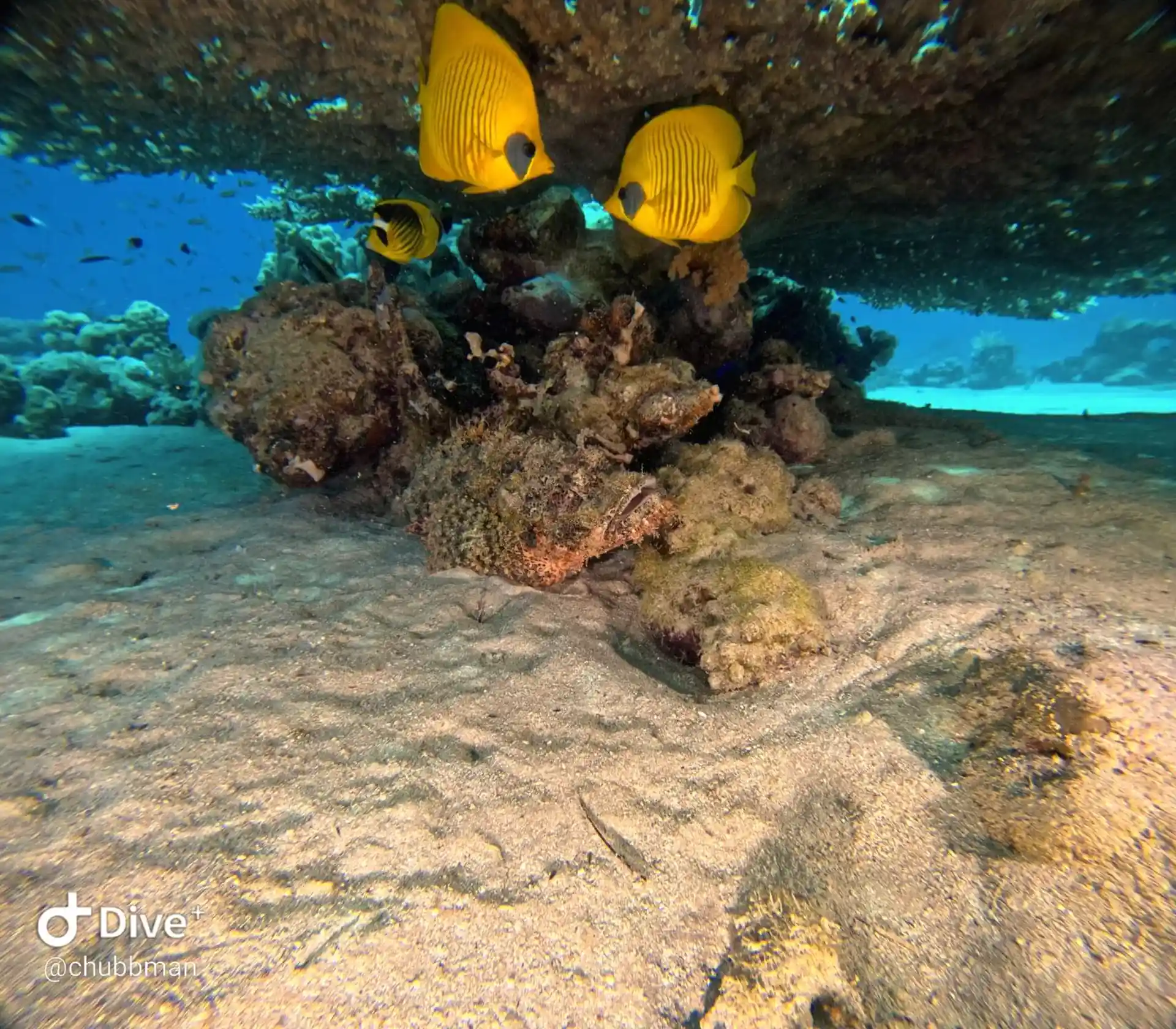 Dive site photo