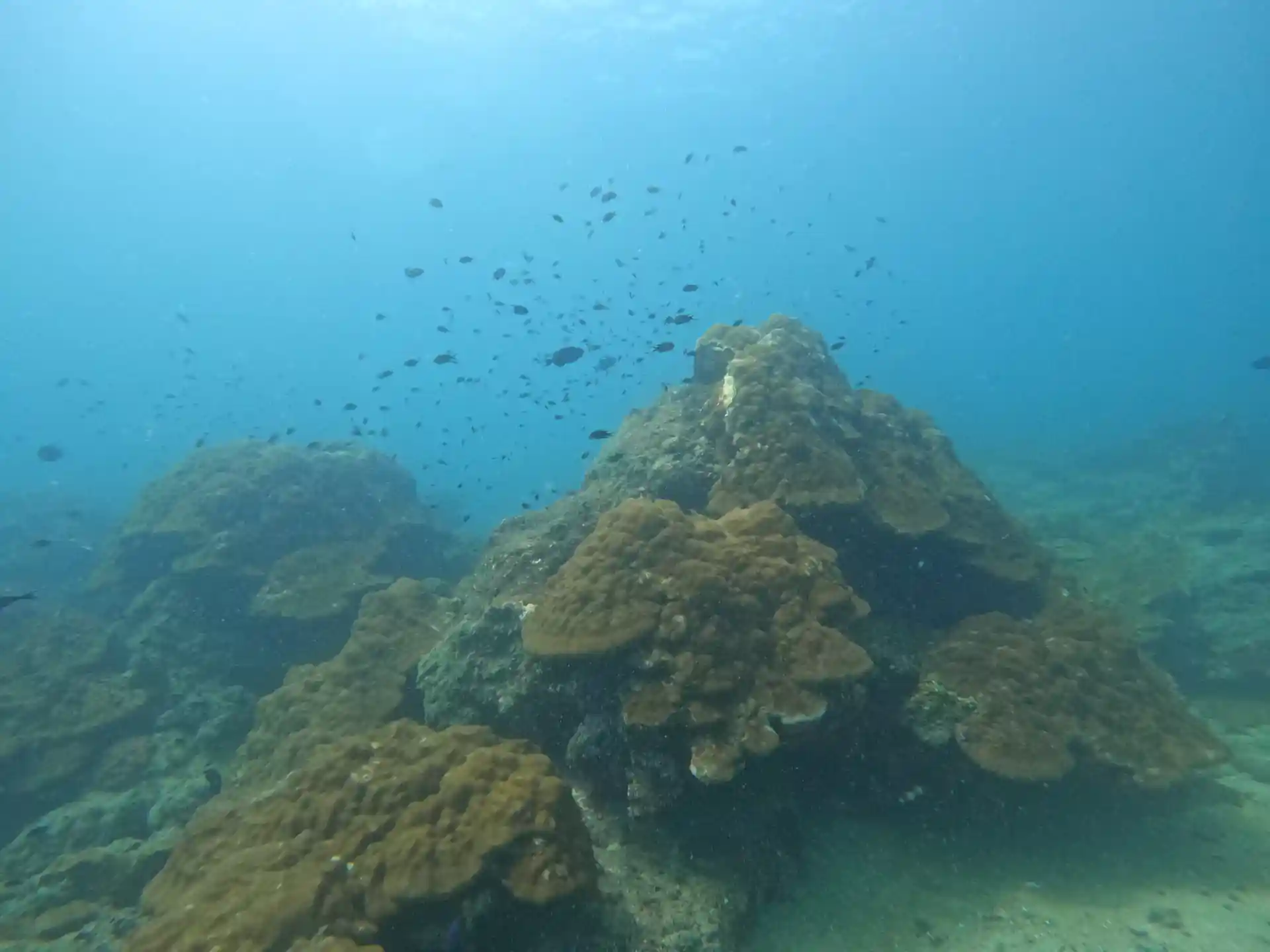 Dive shop photo