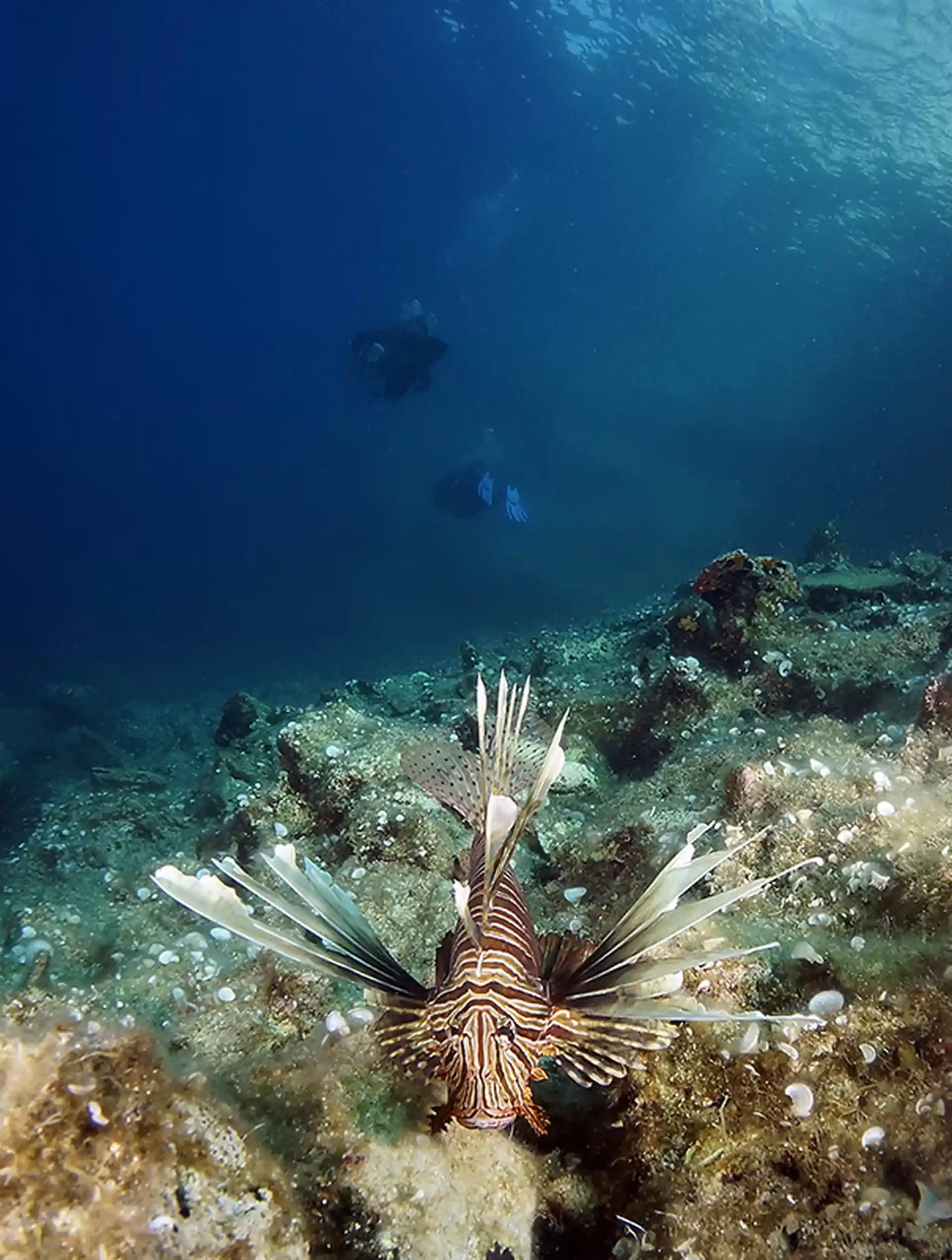 Foto del sitio de buceo