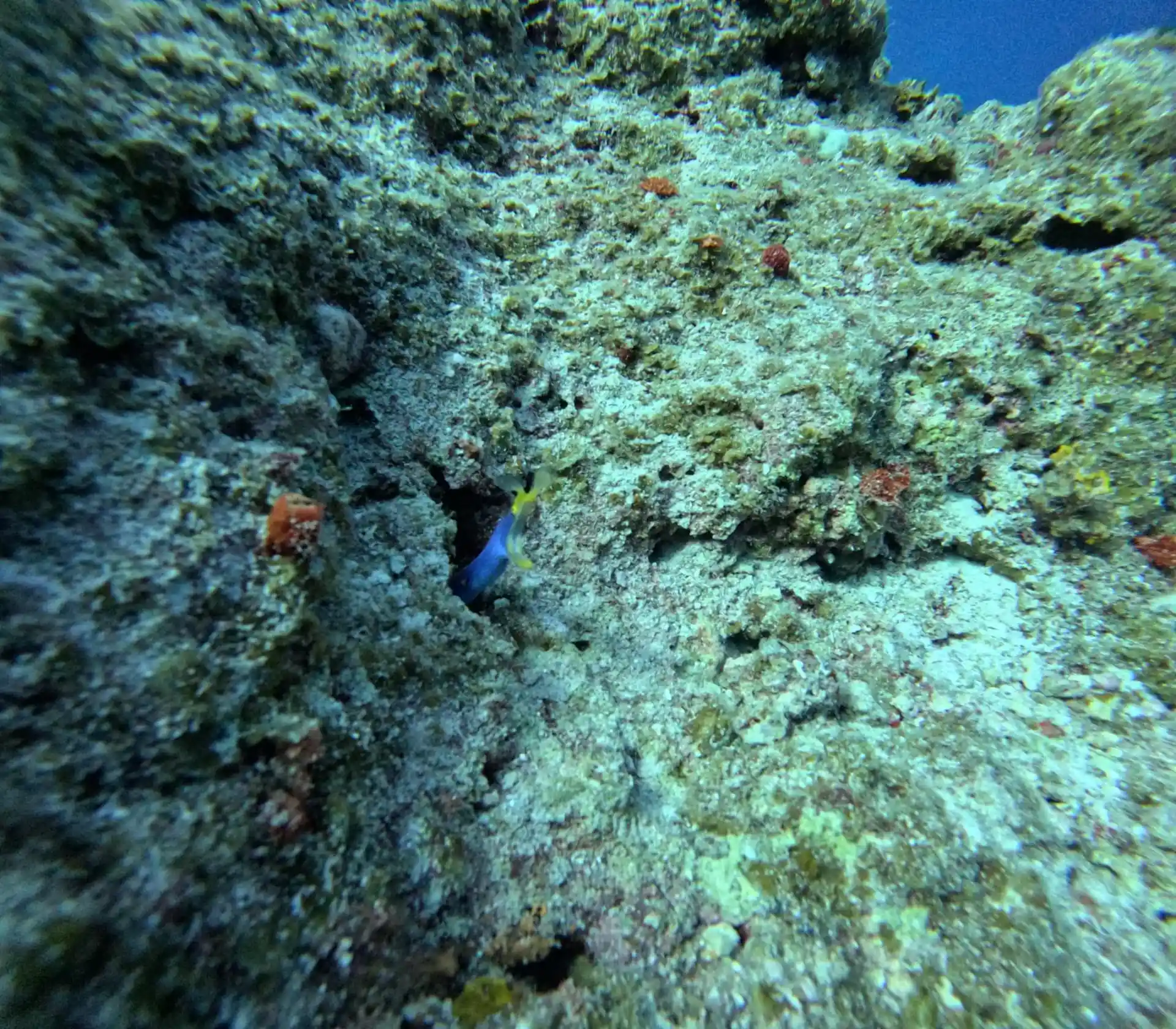Dive site photo