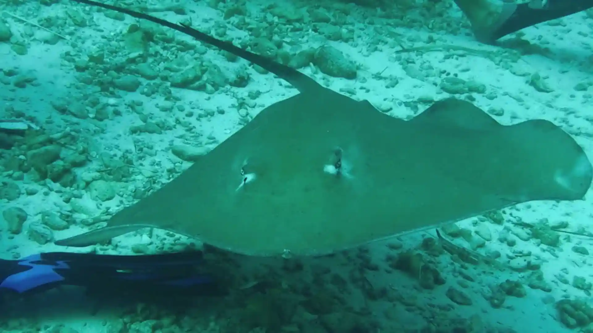 Dive site photo