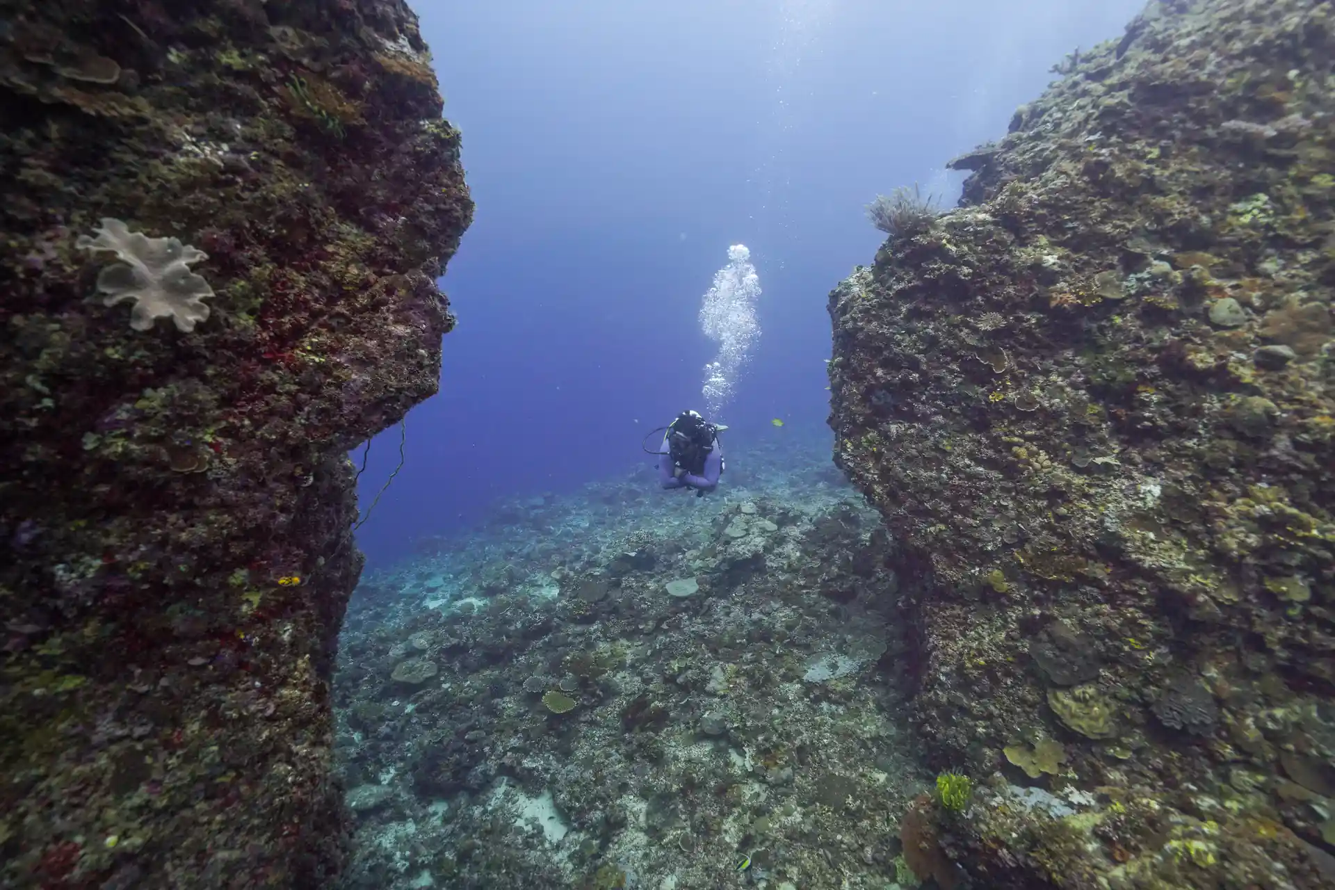 Foto de la actividad