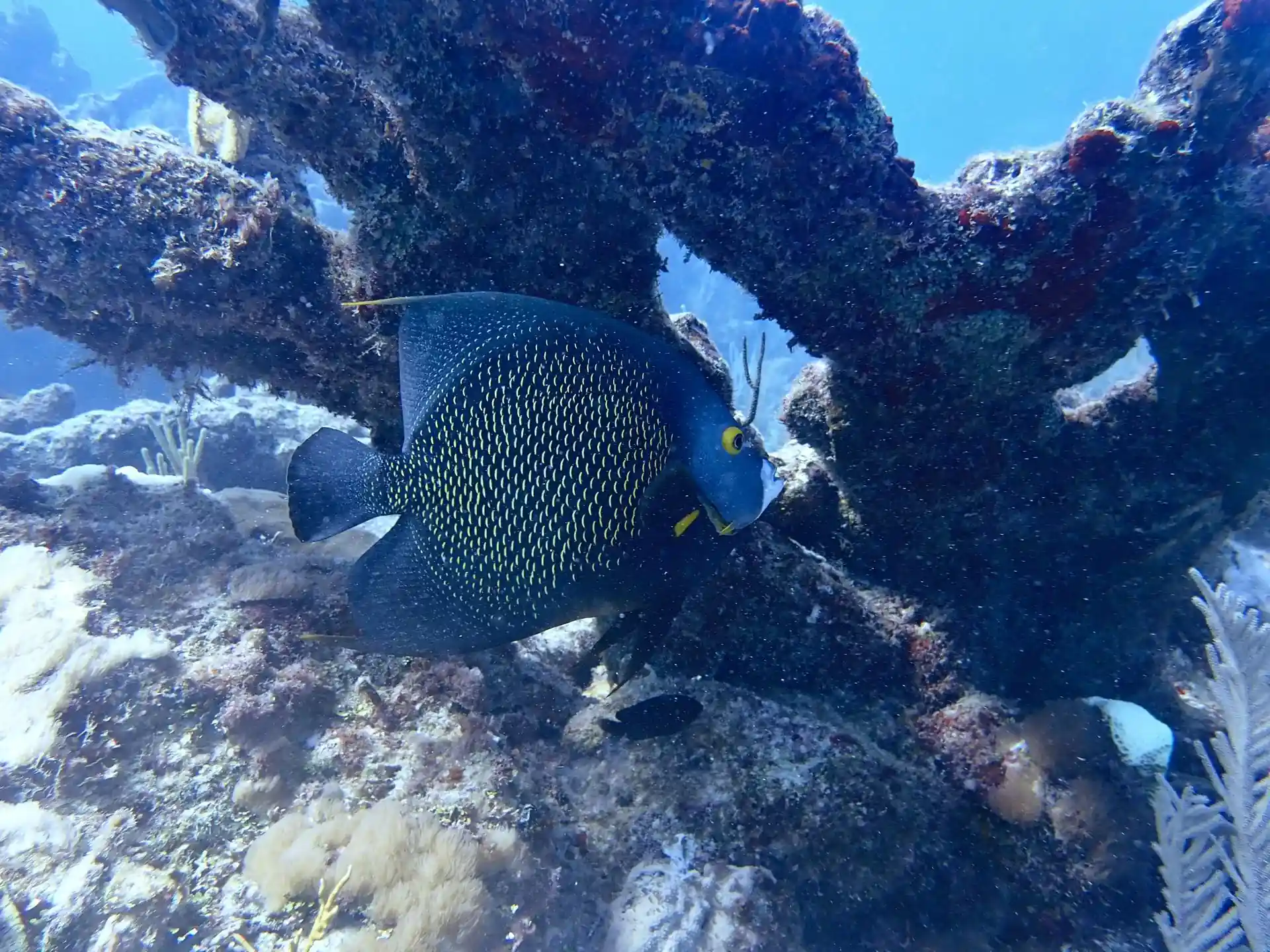 Dive site photo