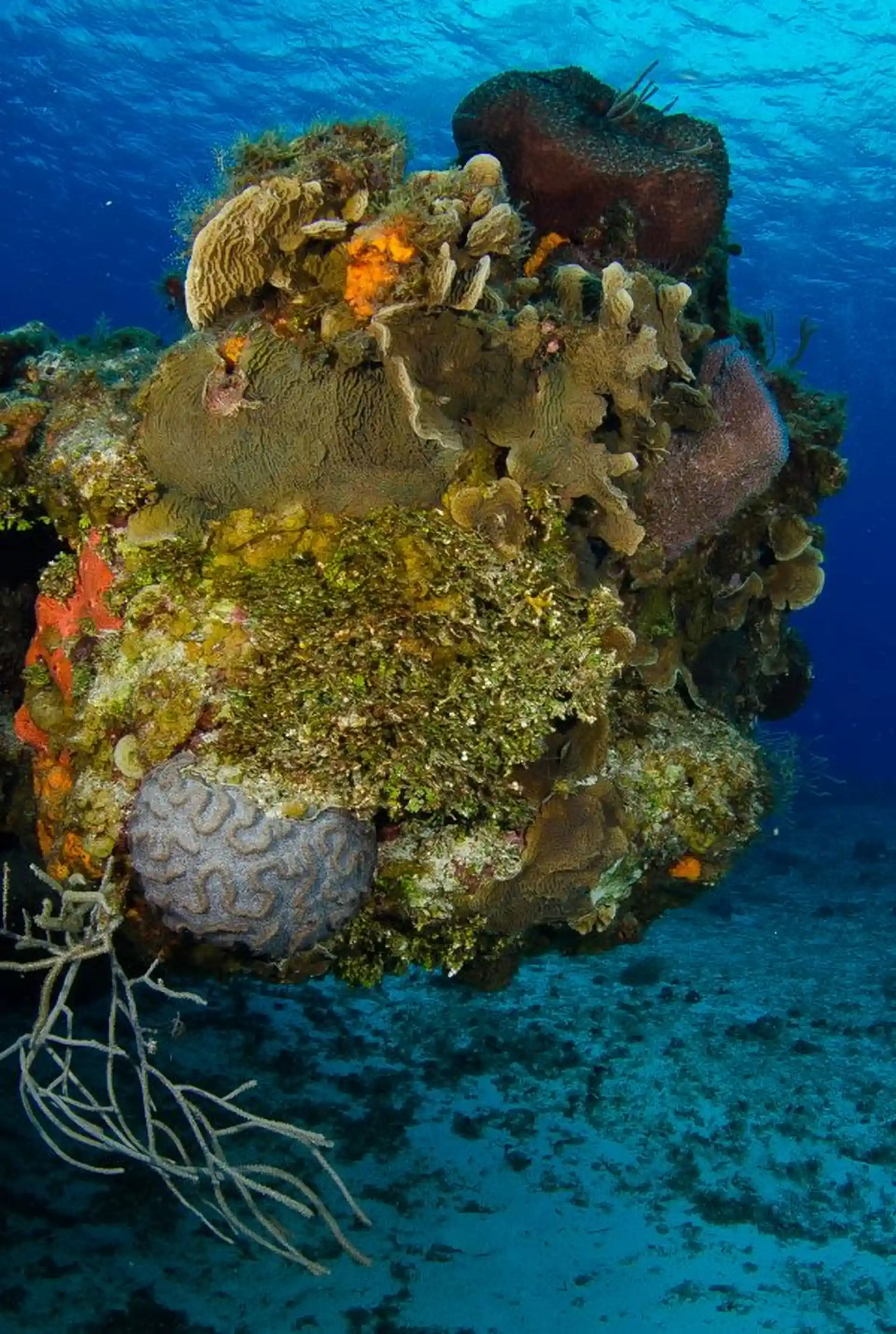 Dive site photo