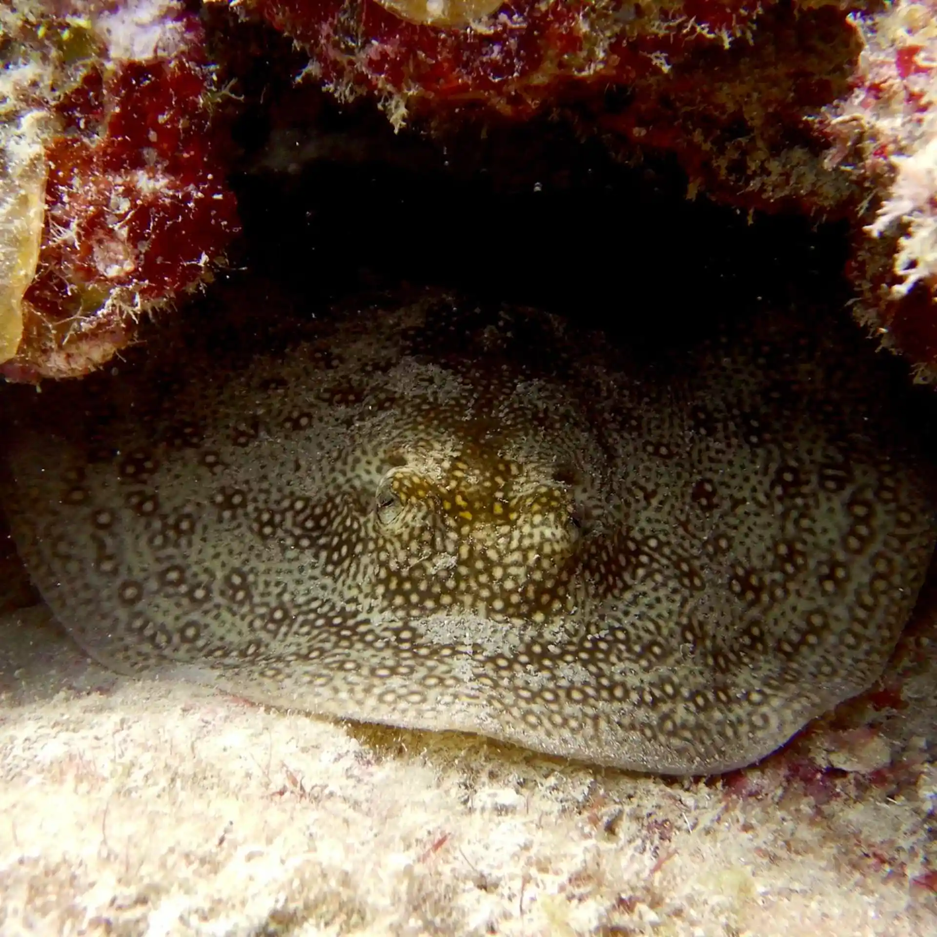 Dive site photo