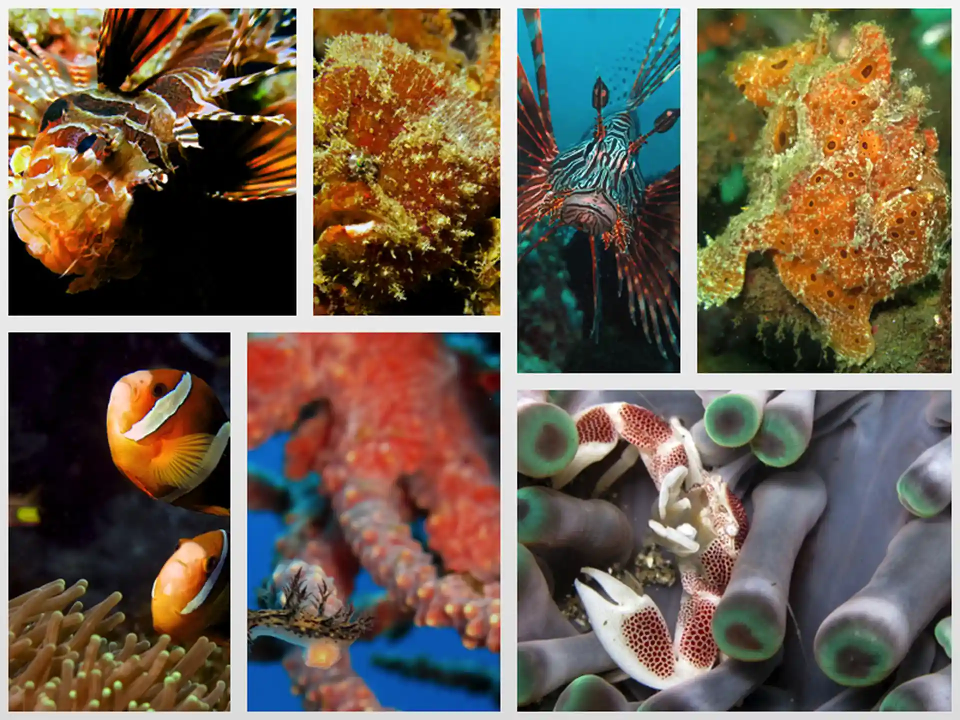 Photo de l'activité