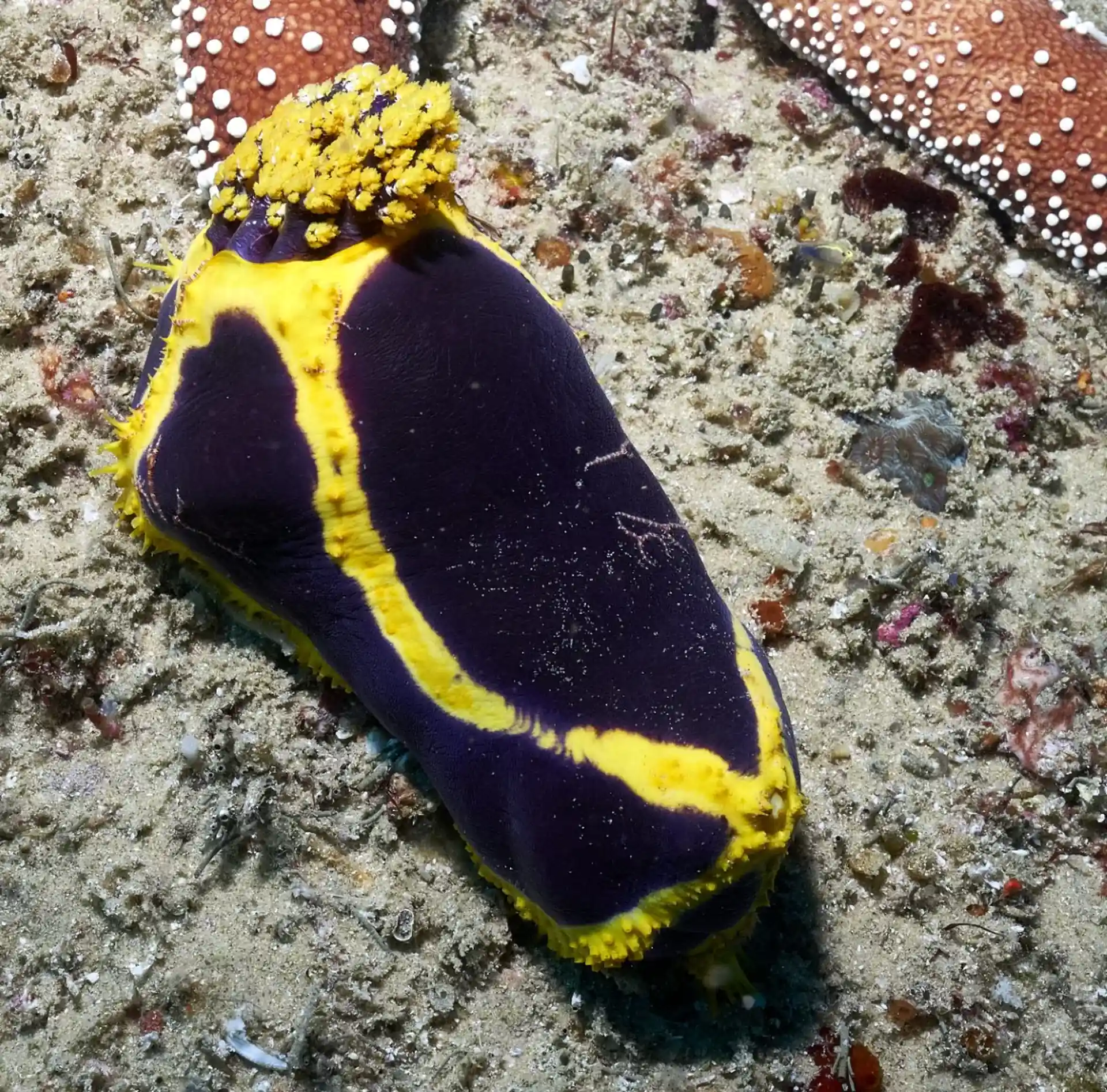 다이빙 포인트 사진