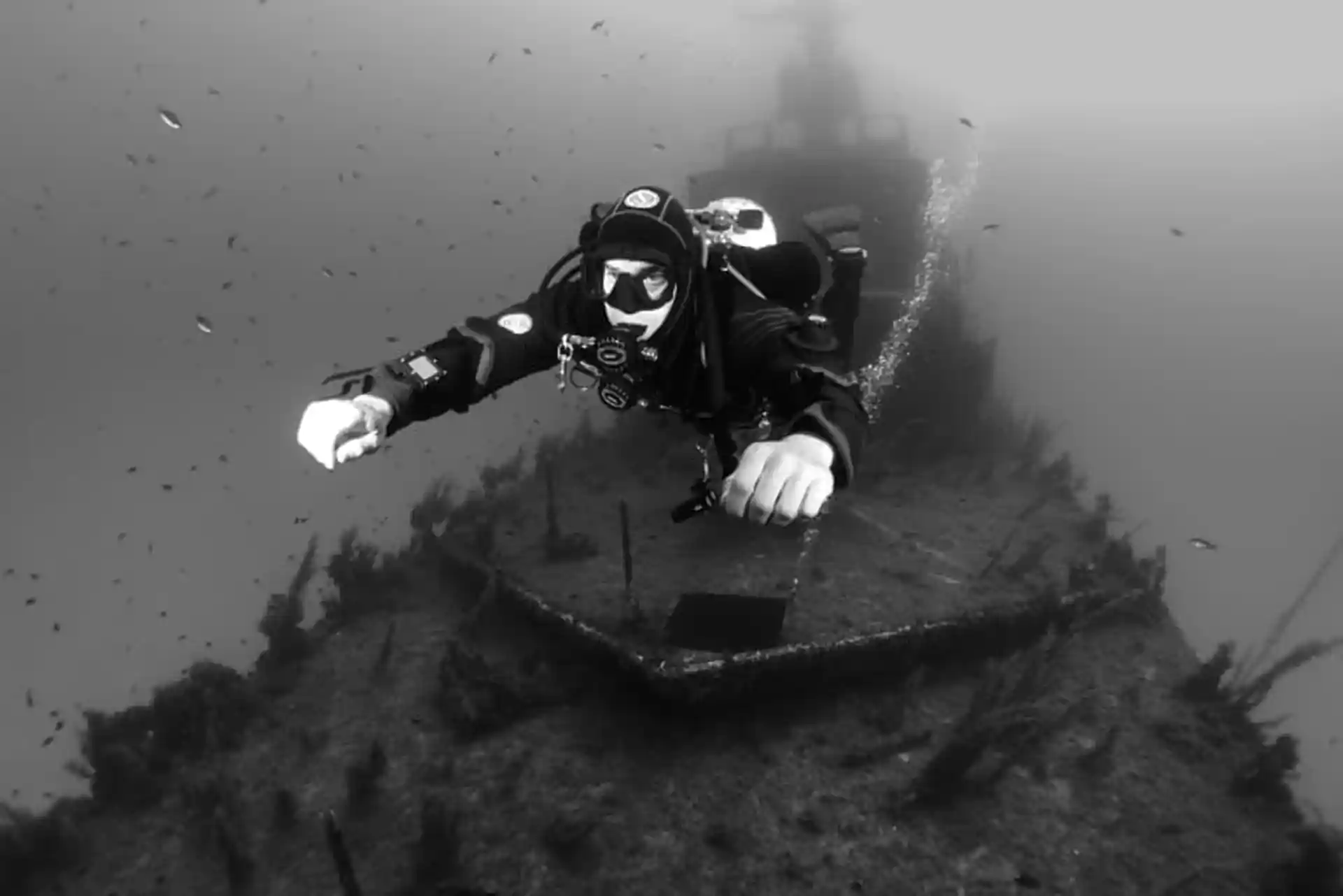 Foto de la tienda de buceo