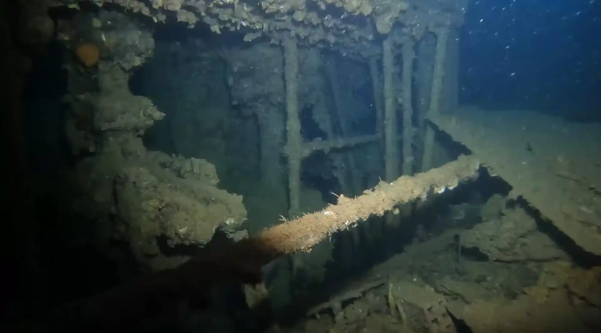 Dive site photo