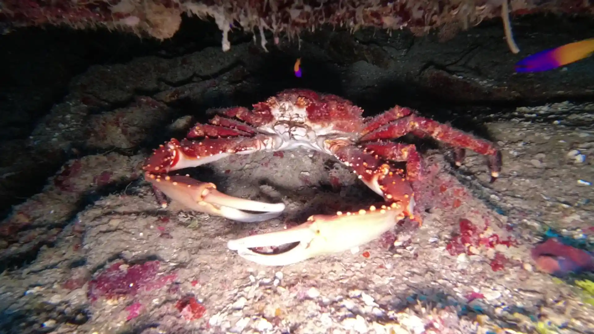 Dive site photo