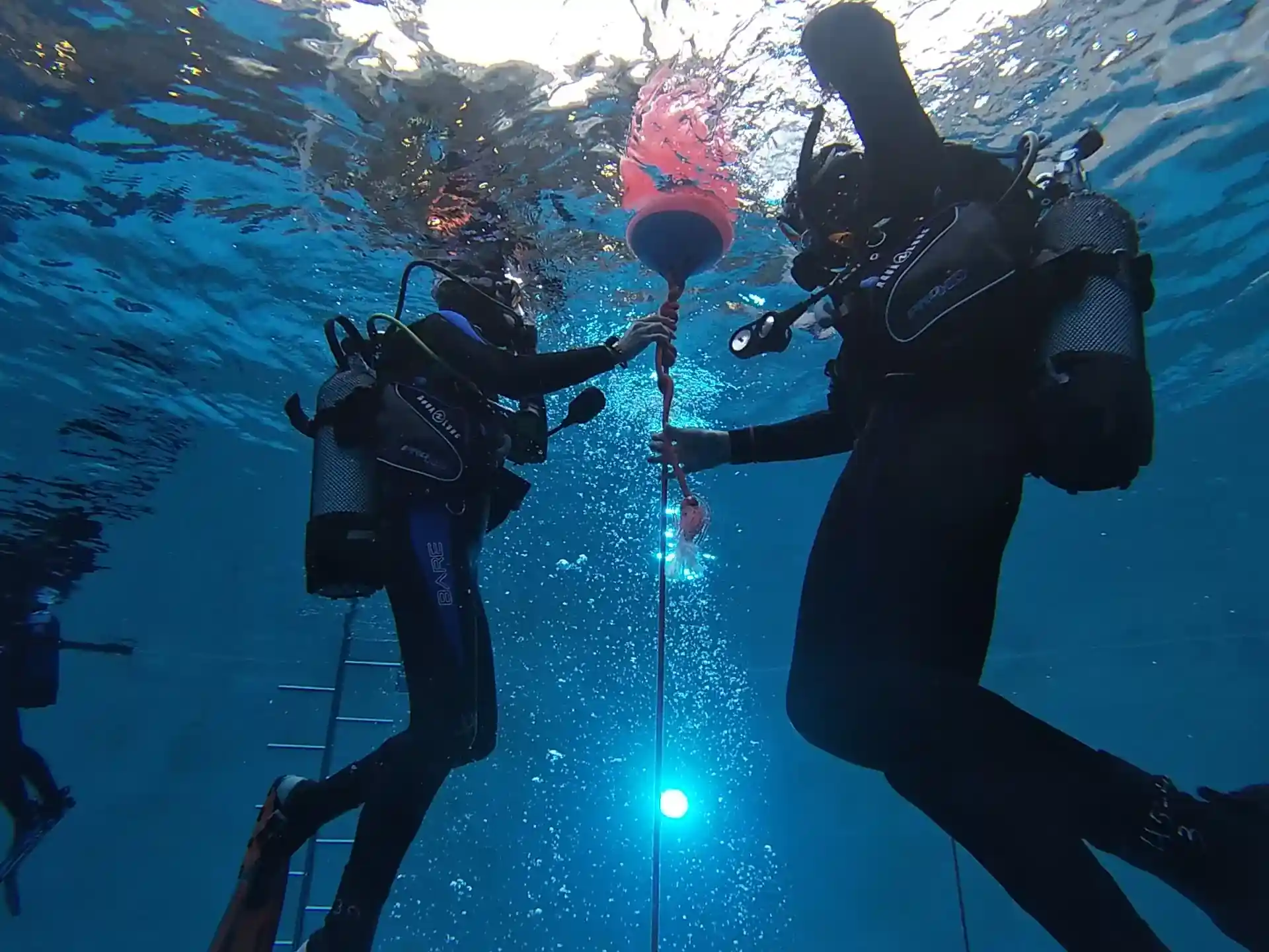 ダイビングサイトの写真