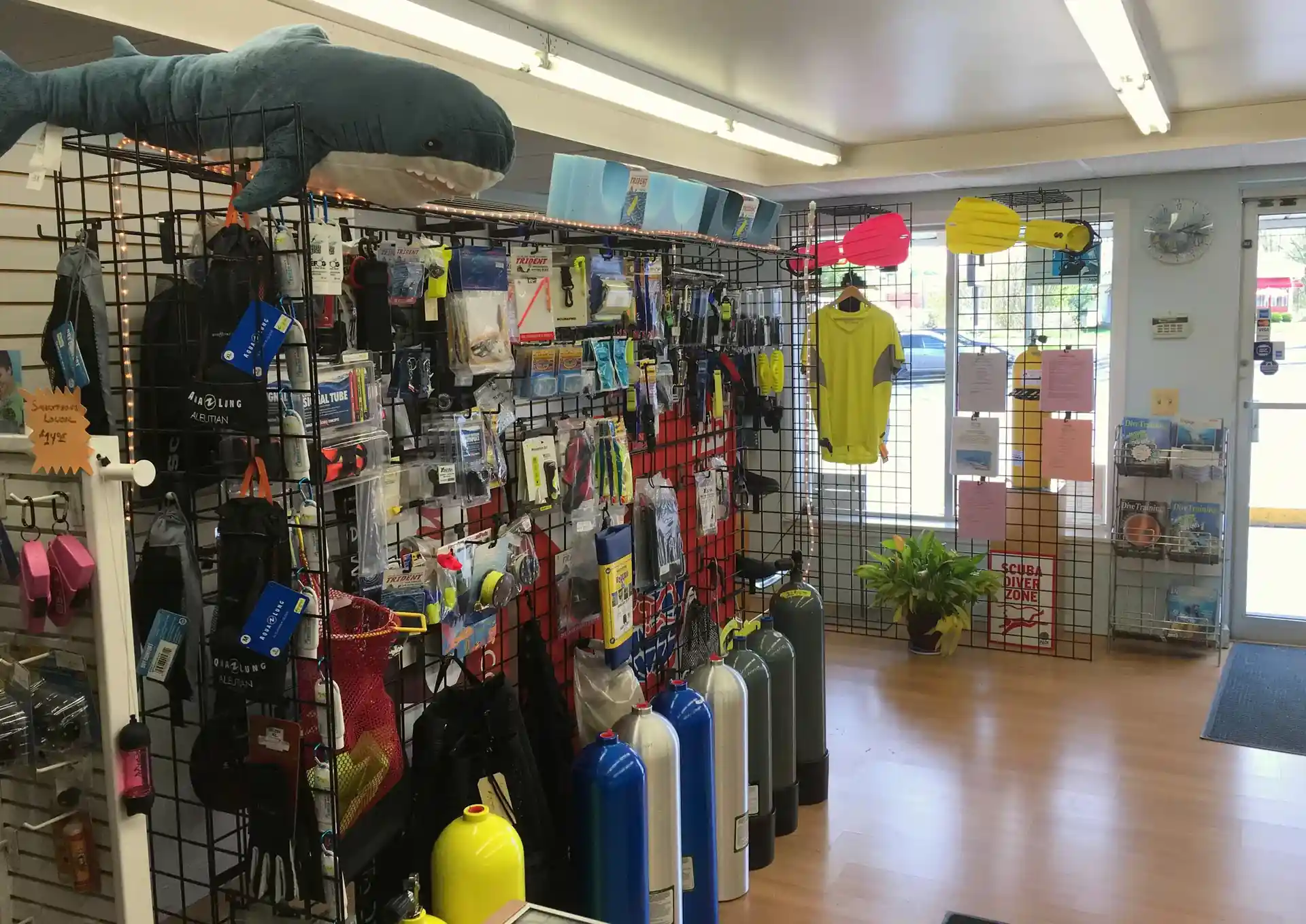 Dive shop photo