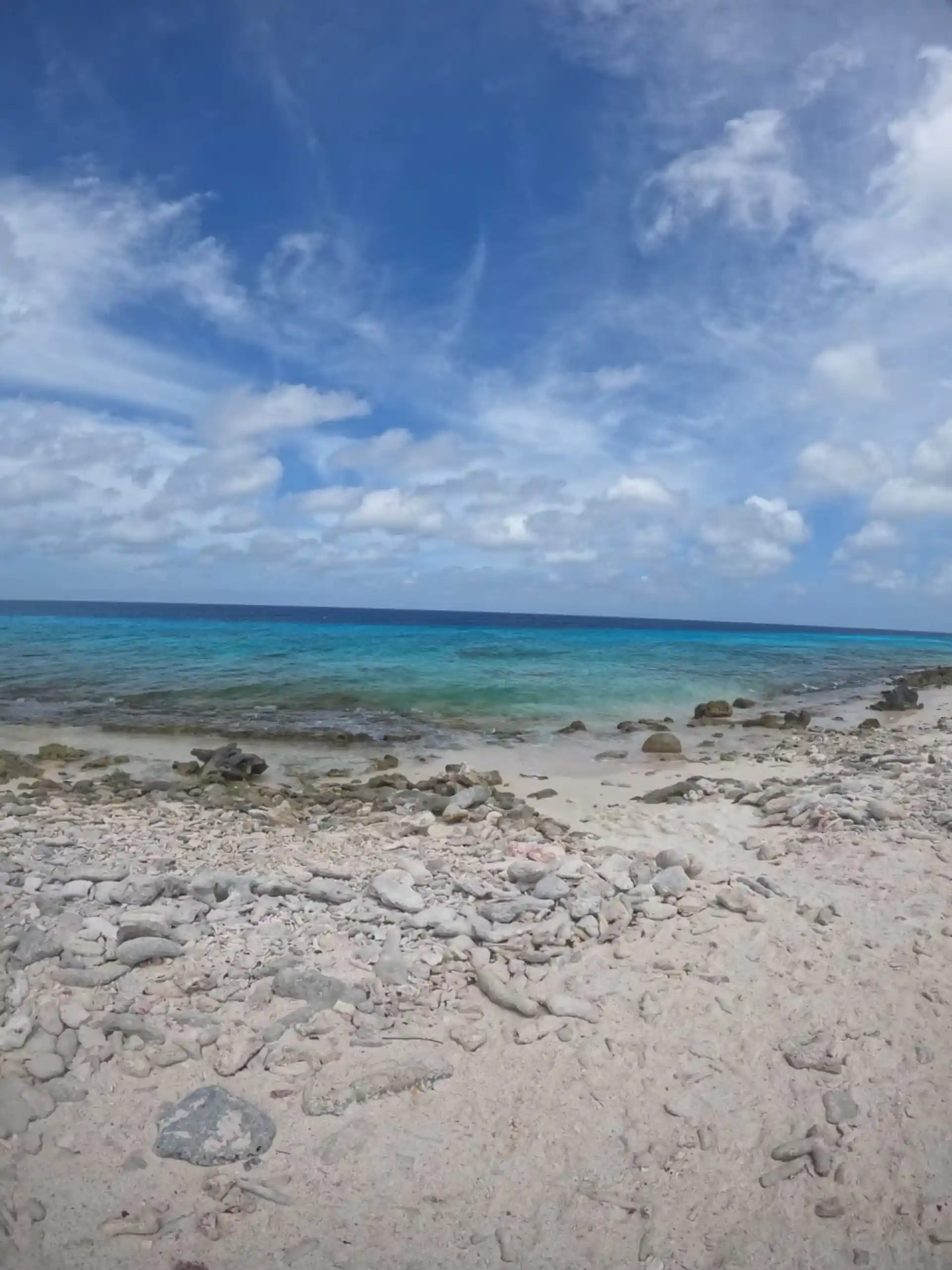 Dive site photo