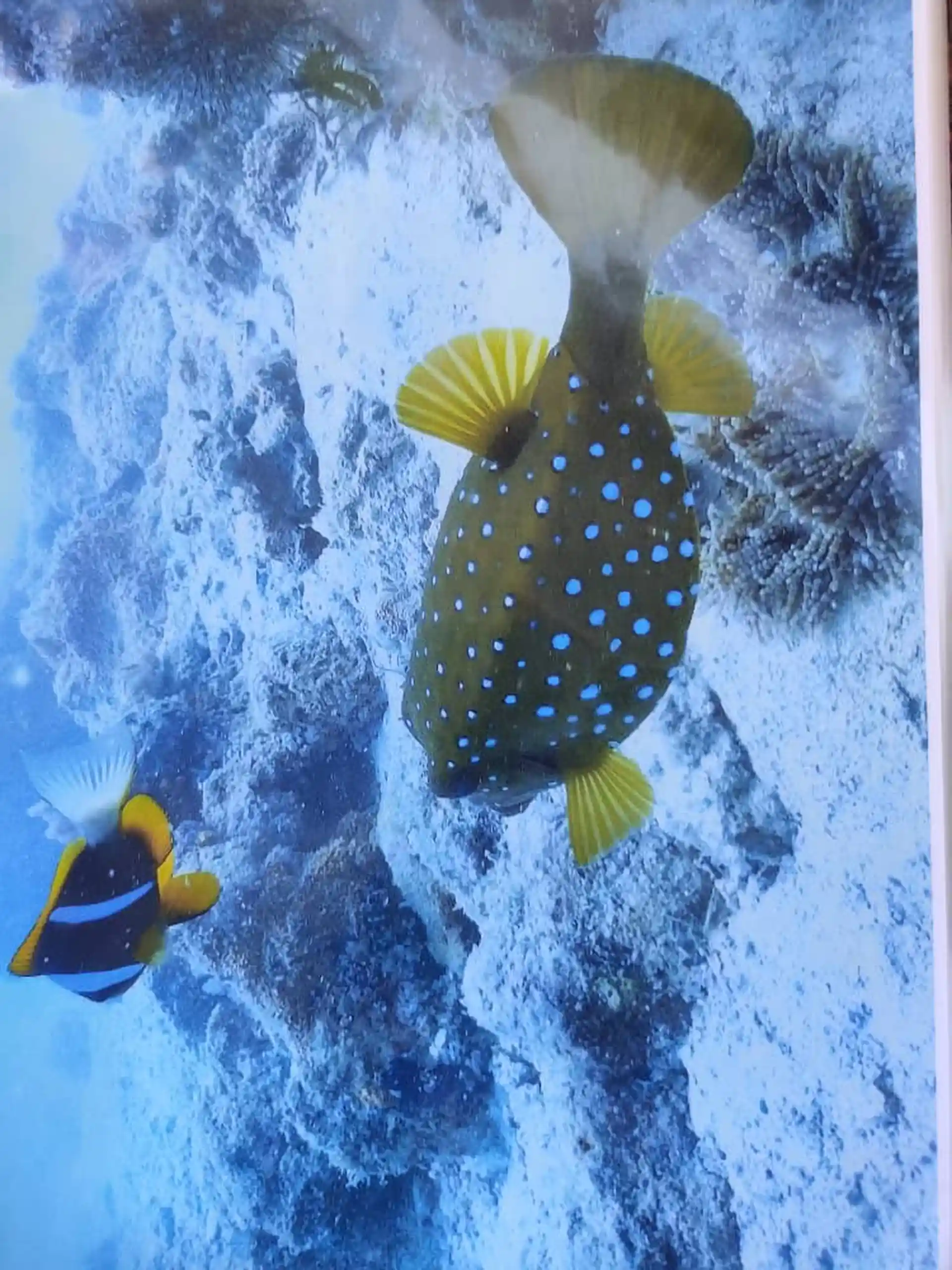 Dive shop photo