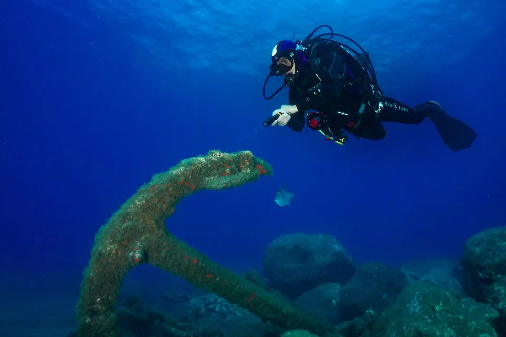 Dive site photo