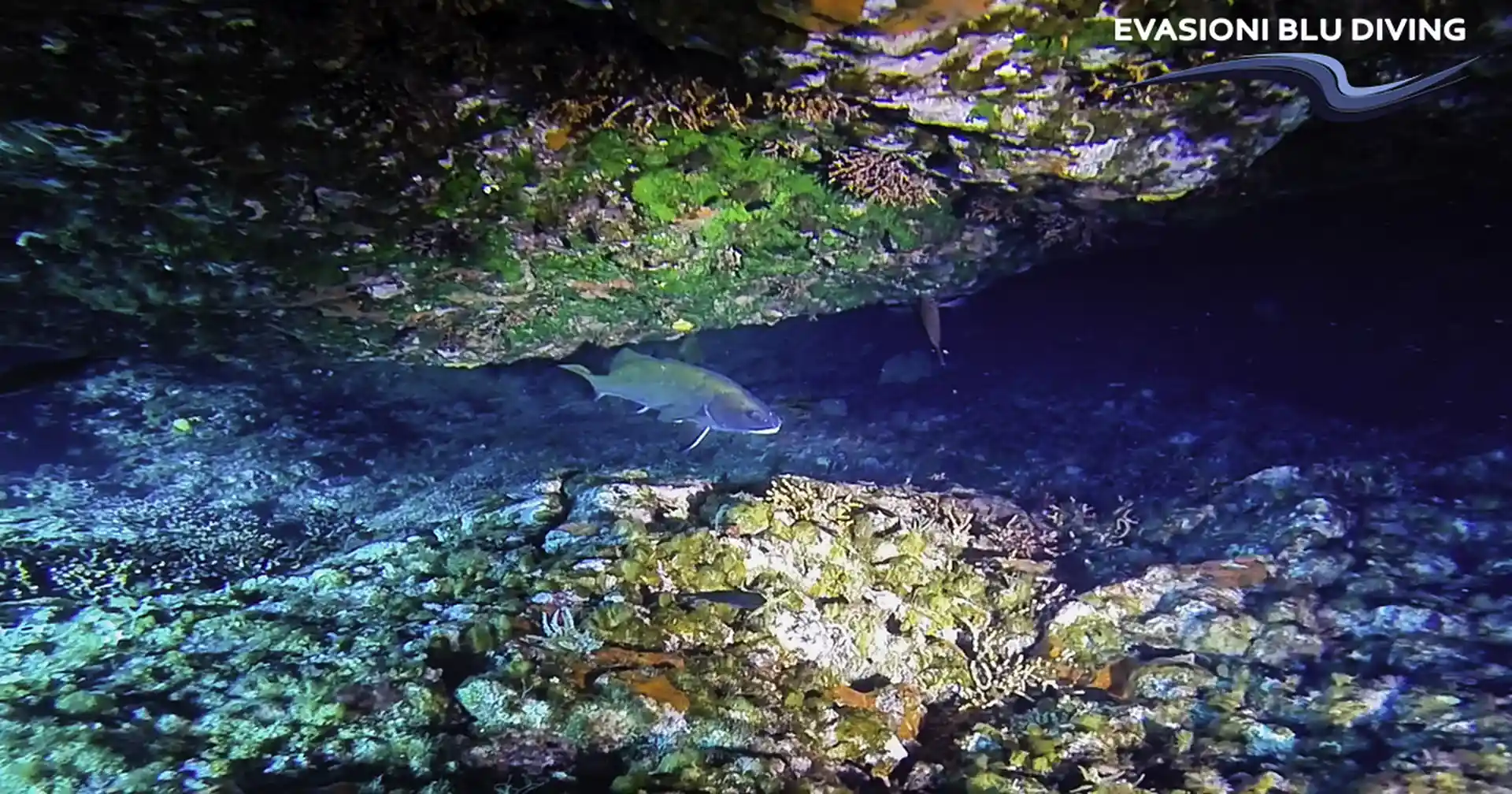 Dive site photo