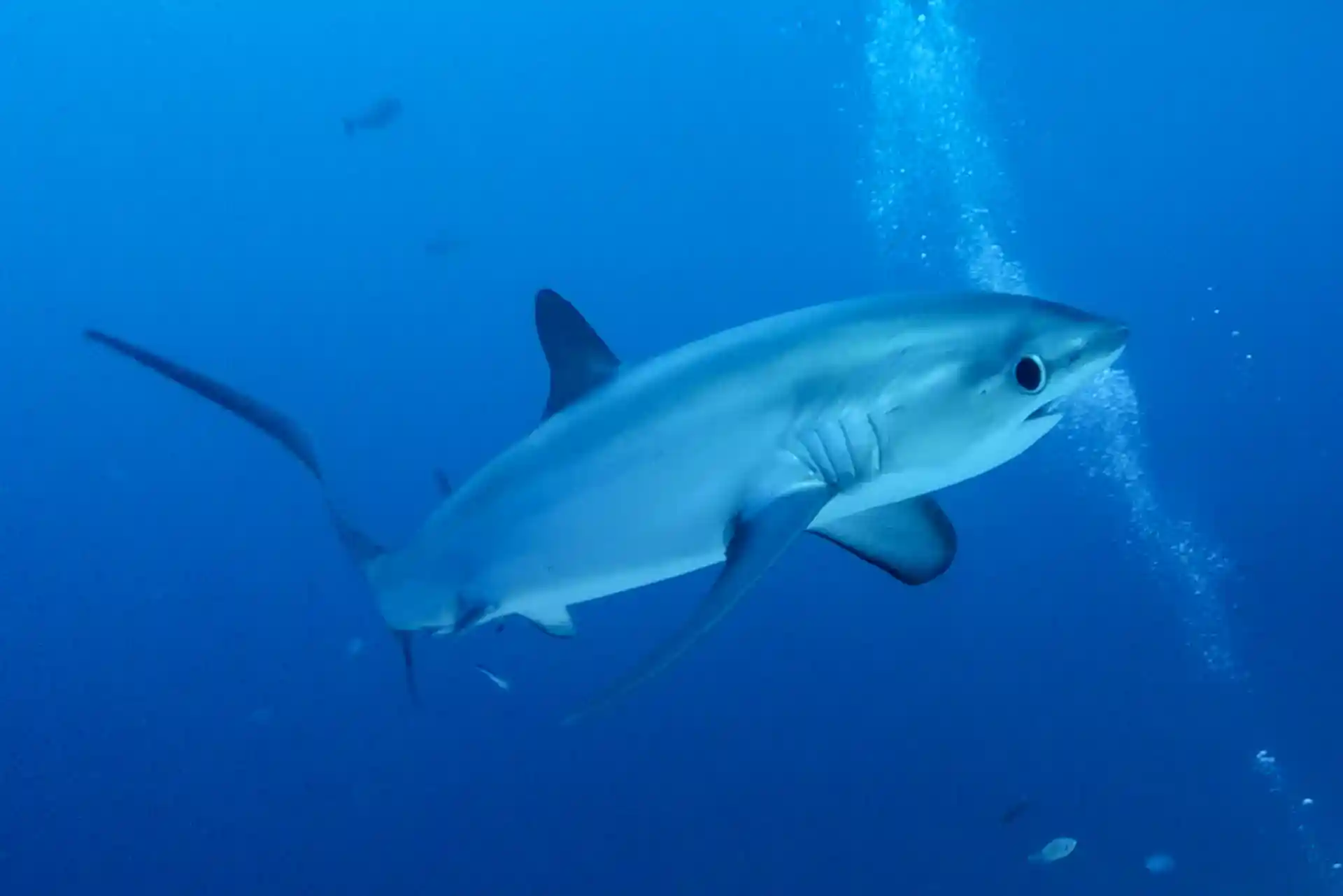 Foto de la actividad