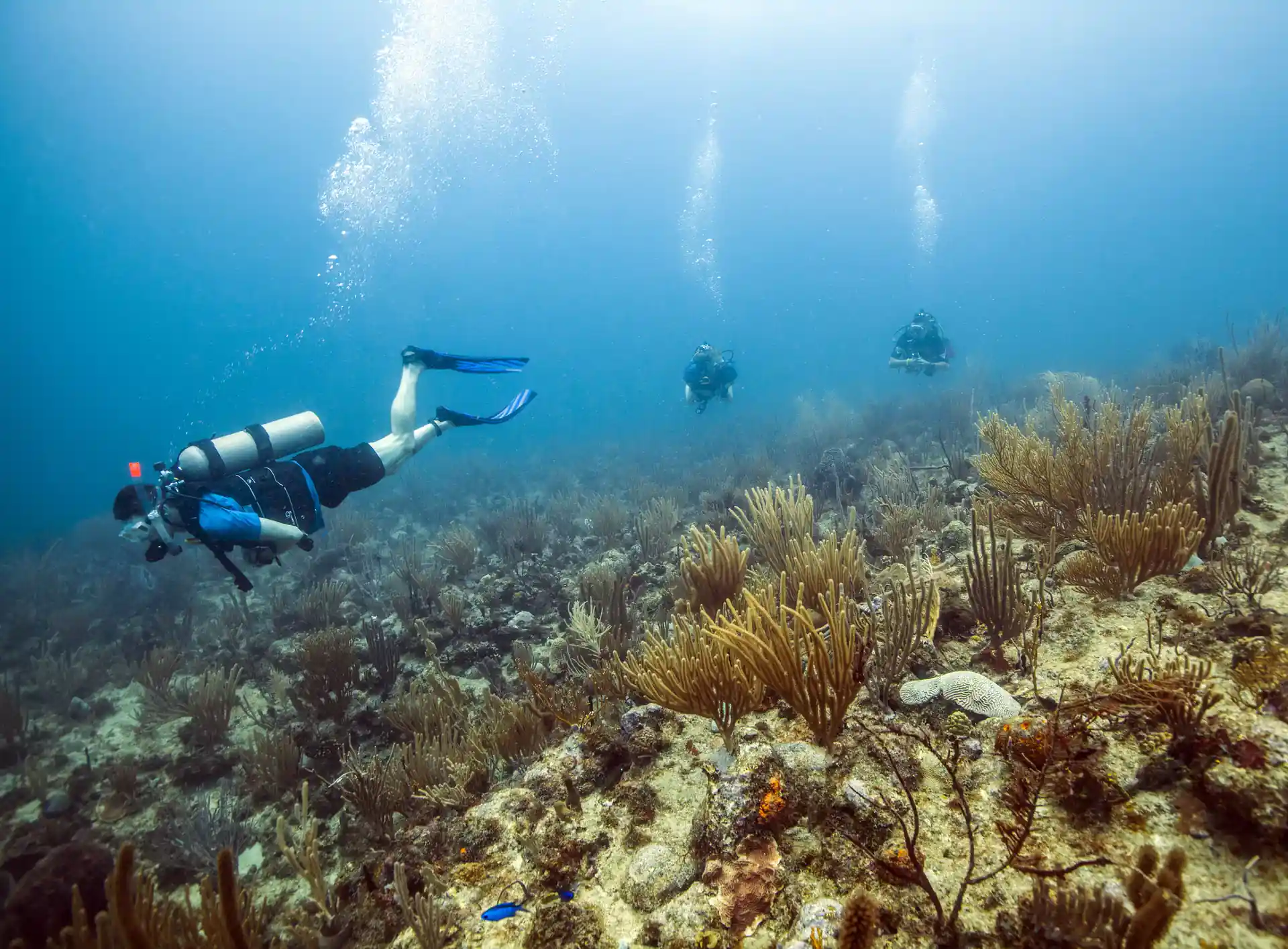 Enjoy small personal groups.