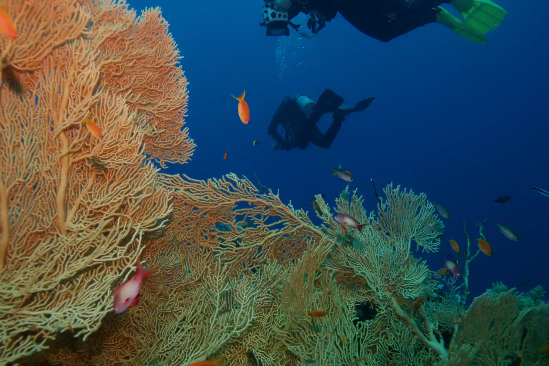 Photo de l'activité