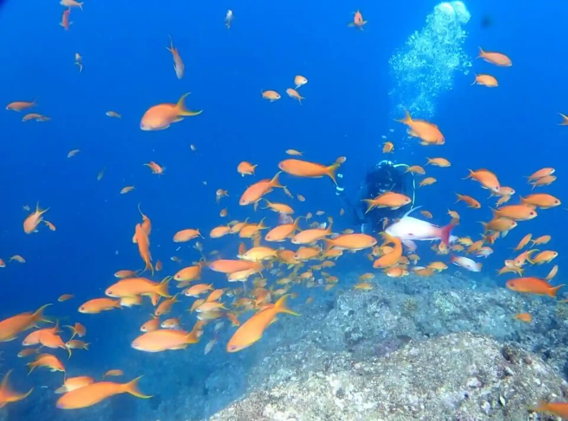 Dive shop photo
