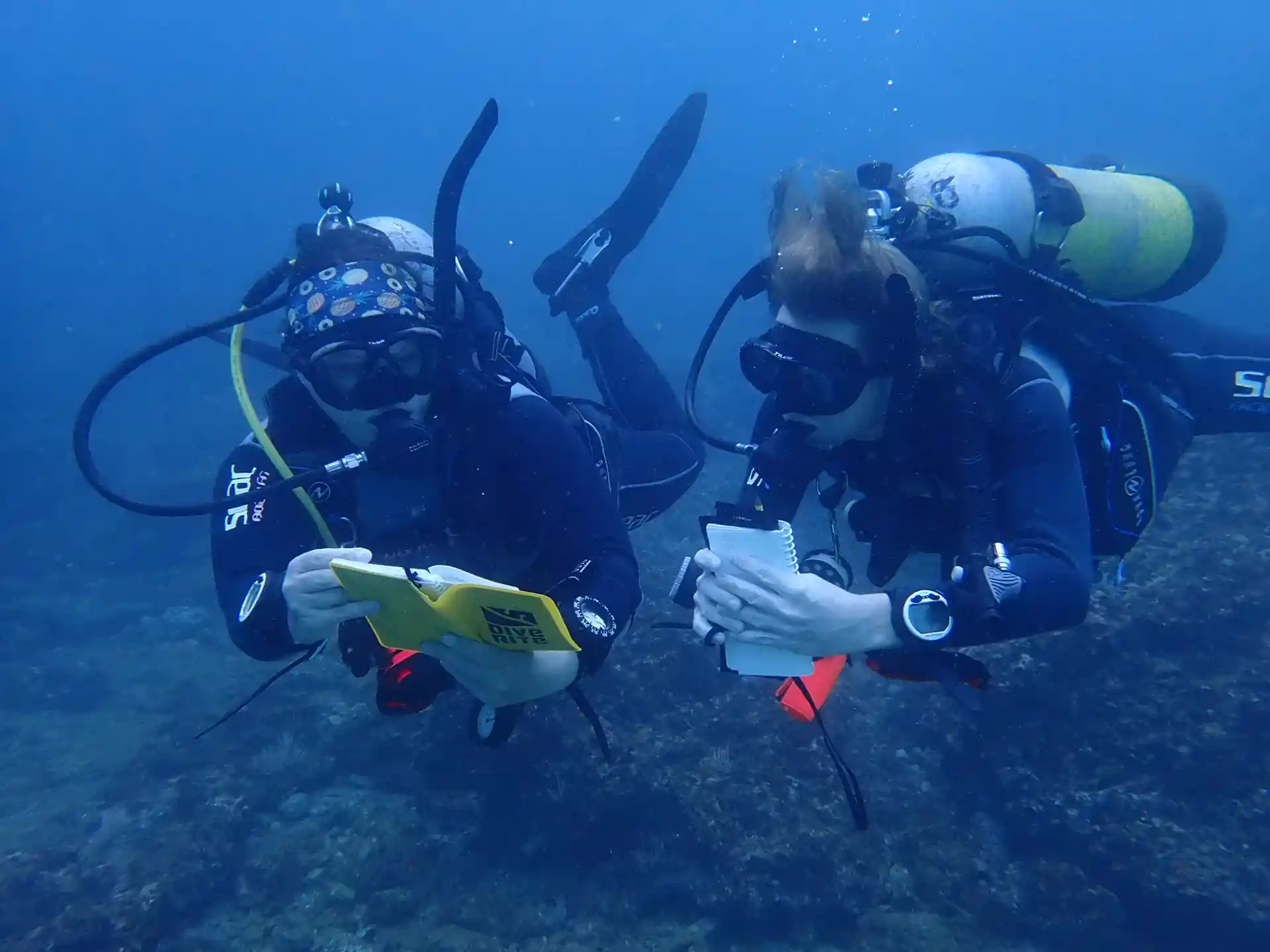 completing a fish survey