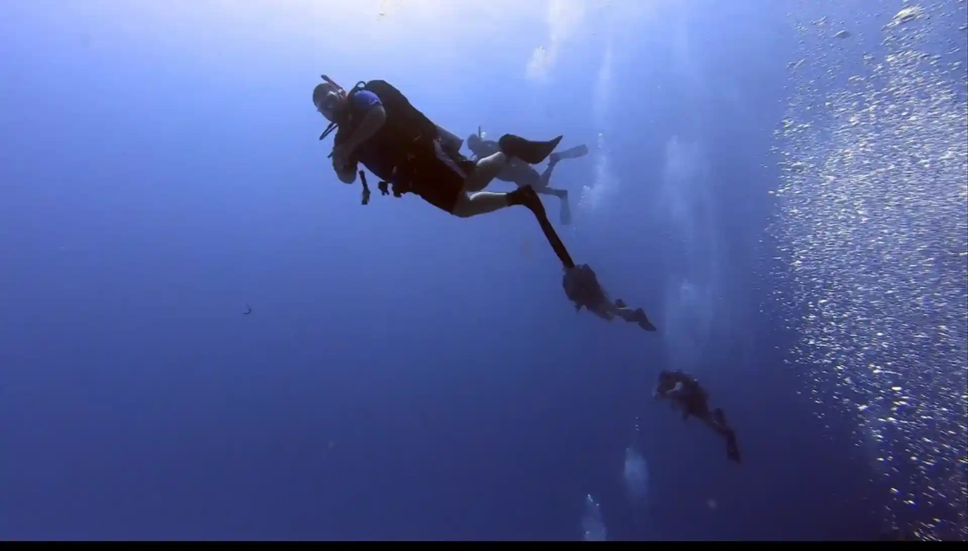 Foto de la tienda de buceo