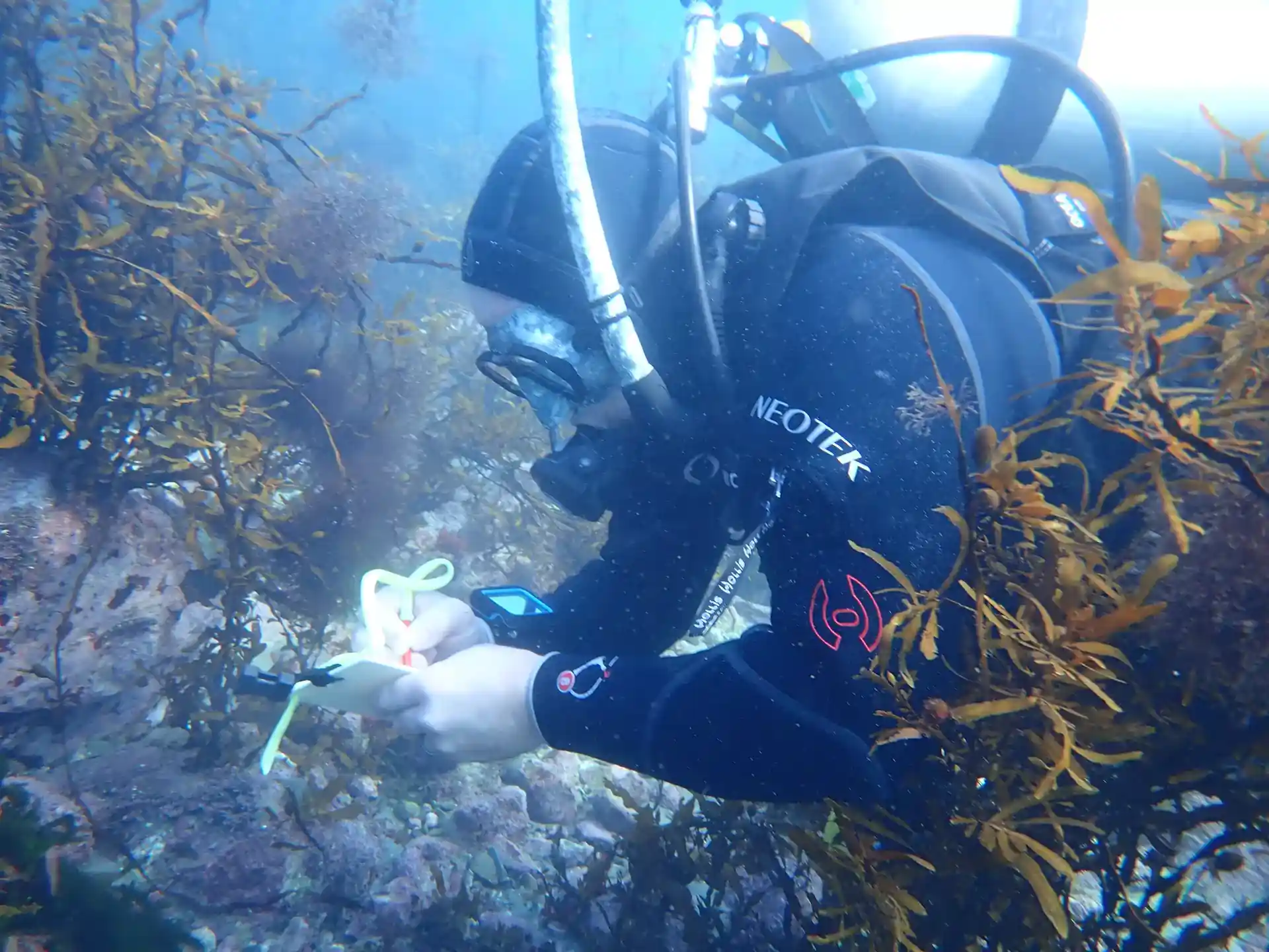 Advanced Open Water Diver