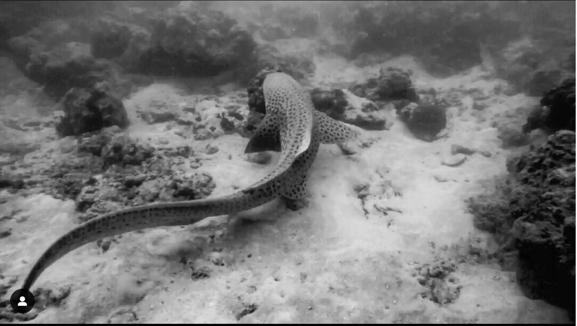 Dive site photo
