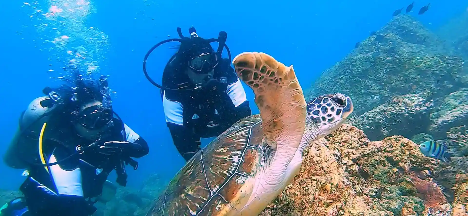 Dive shop photo
