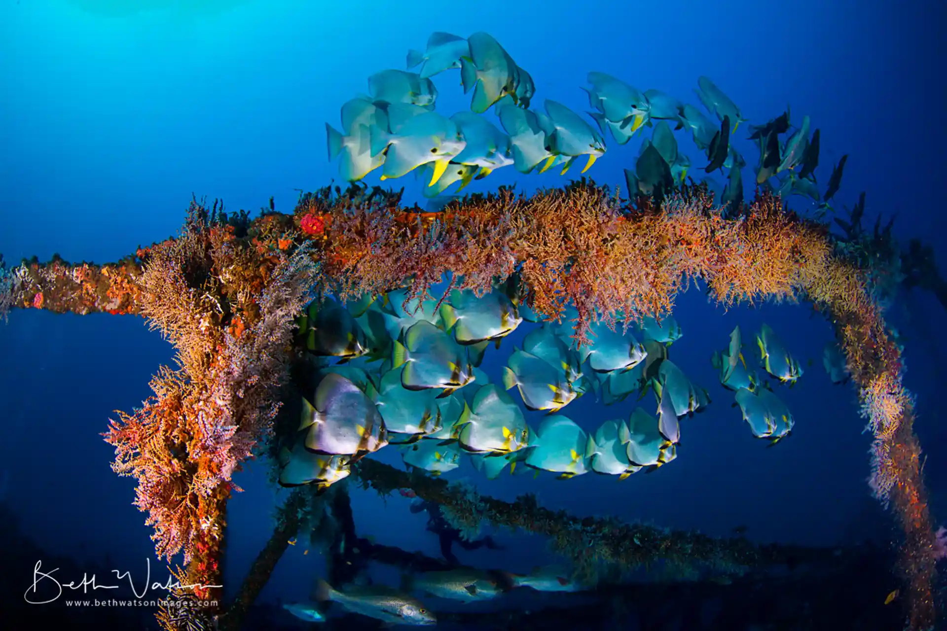 Dive shop photo