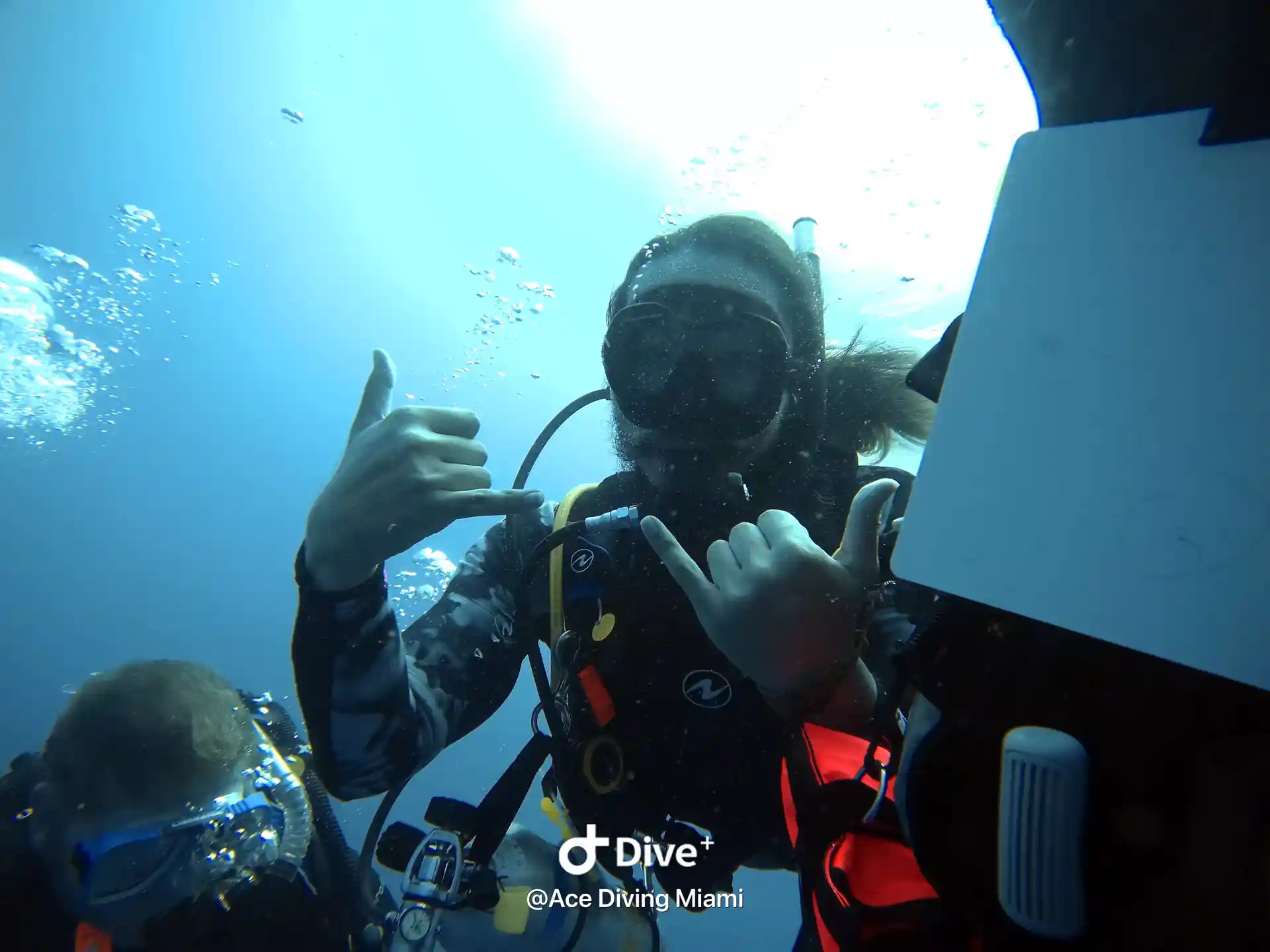 Dive dive dive