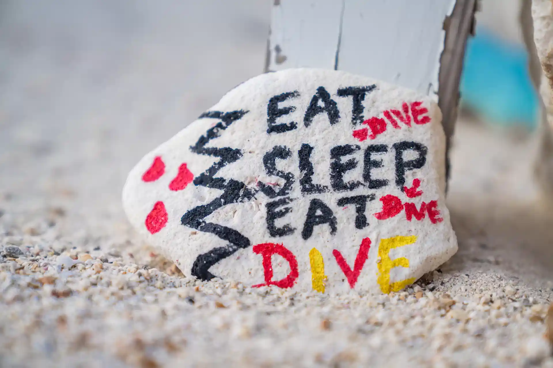 Dive shop photo