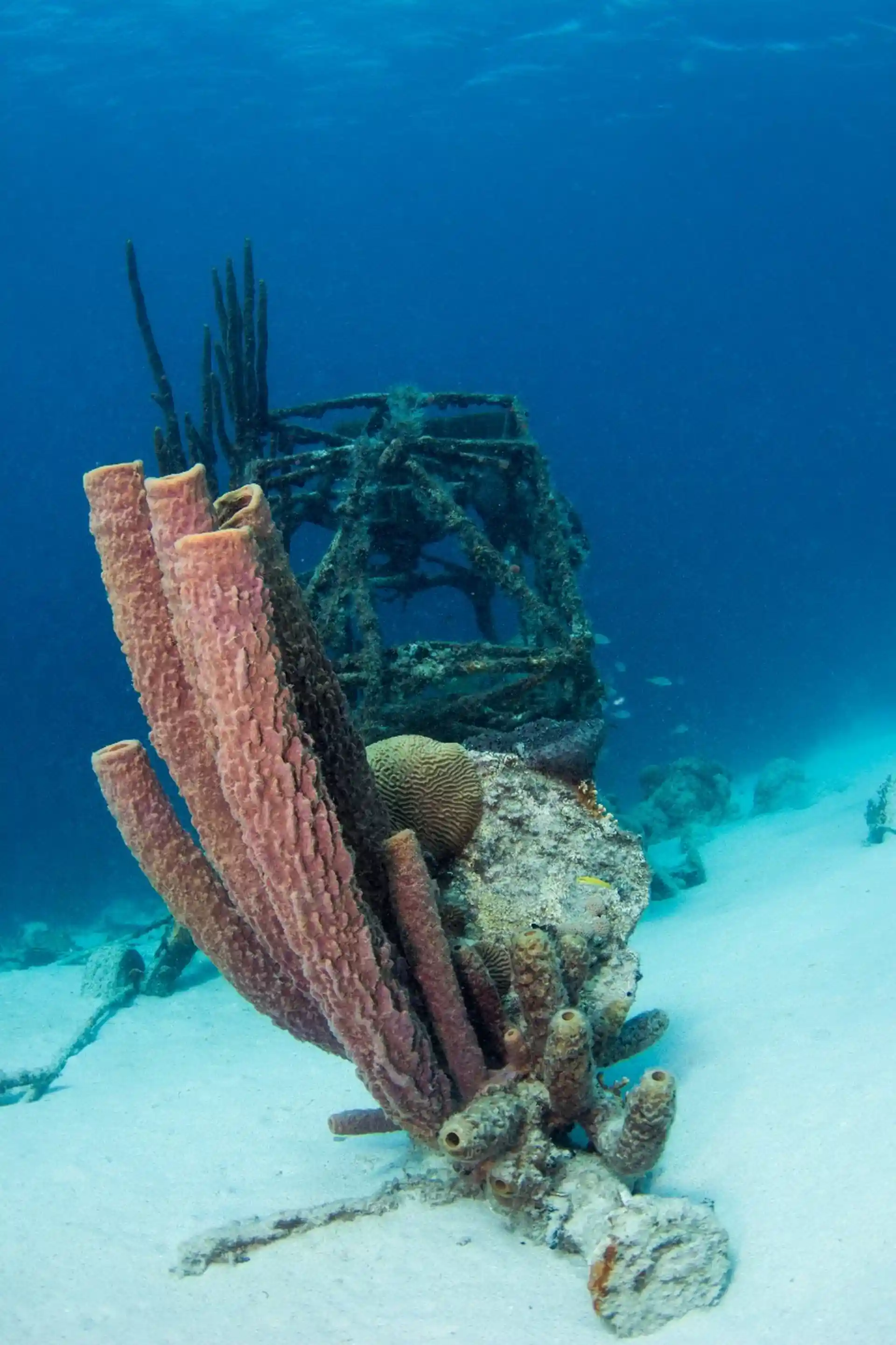 Foto des Tauchplatzes