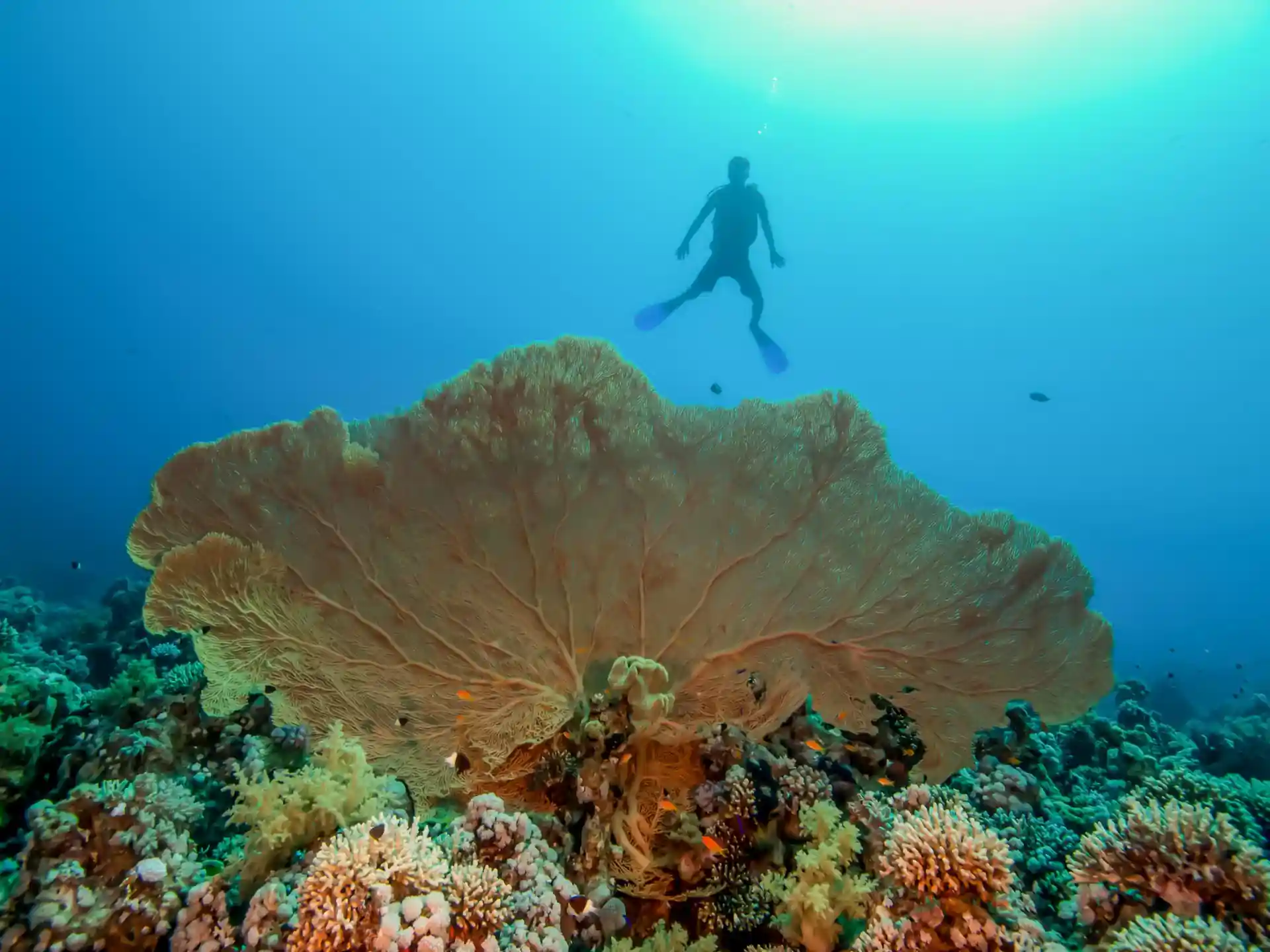 다이빙 포인트 사진