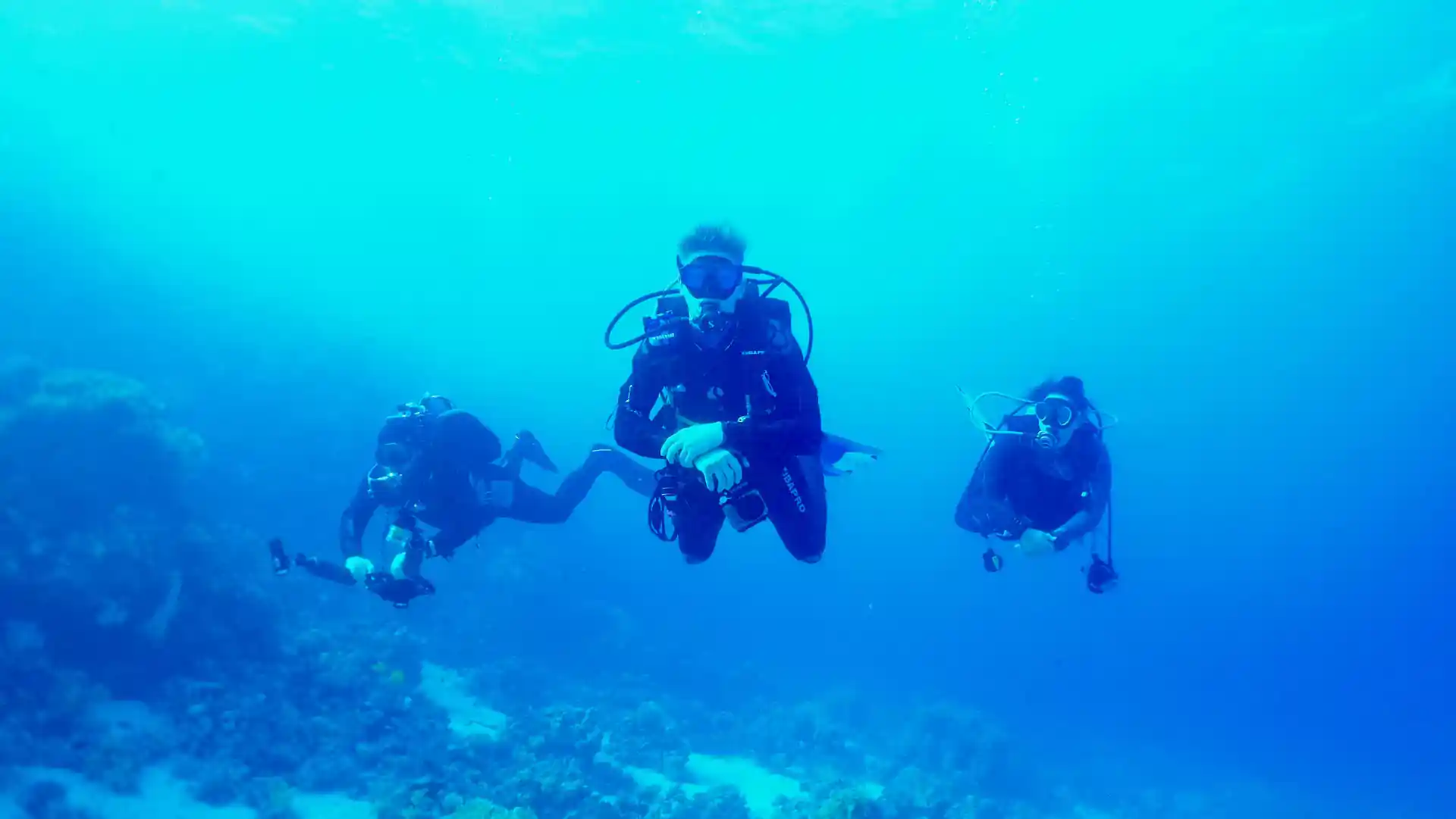 Activity photo