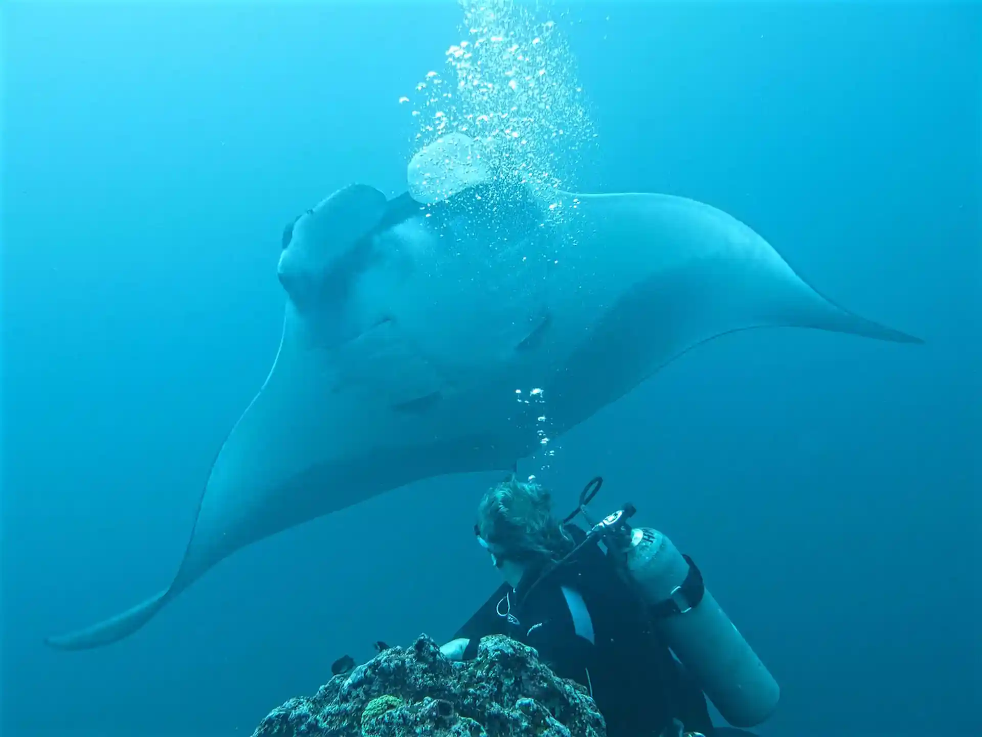 Skill stops with company!